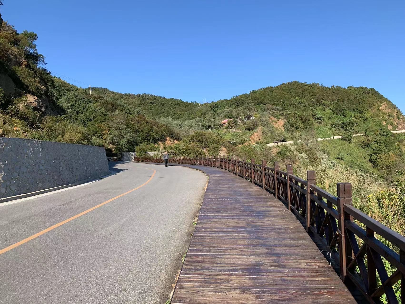 大鹿岛风景区旅行图片 3
