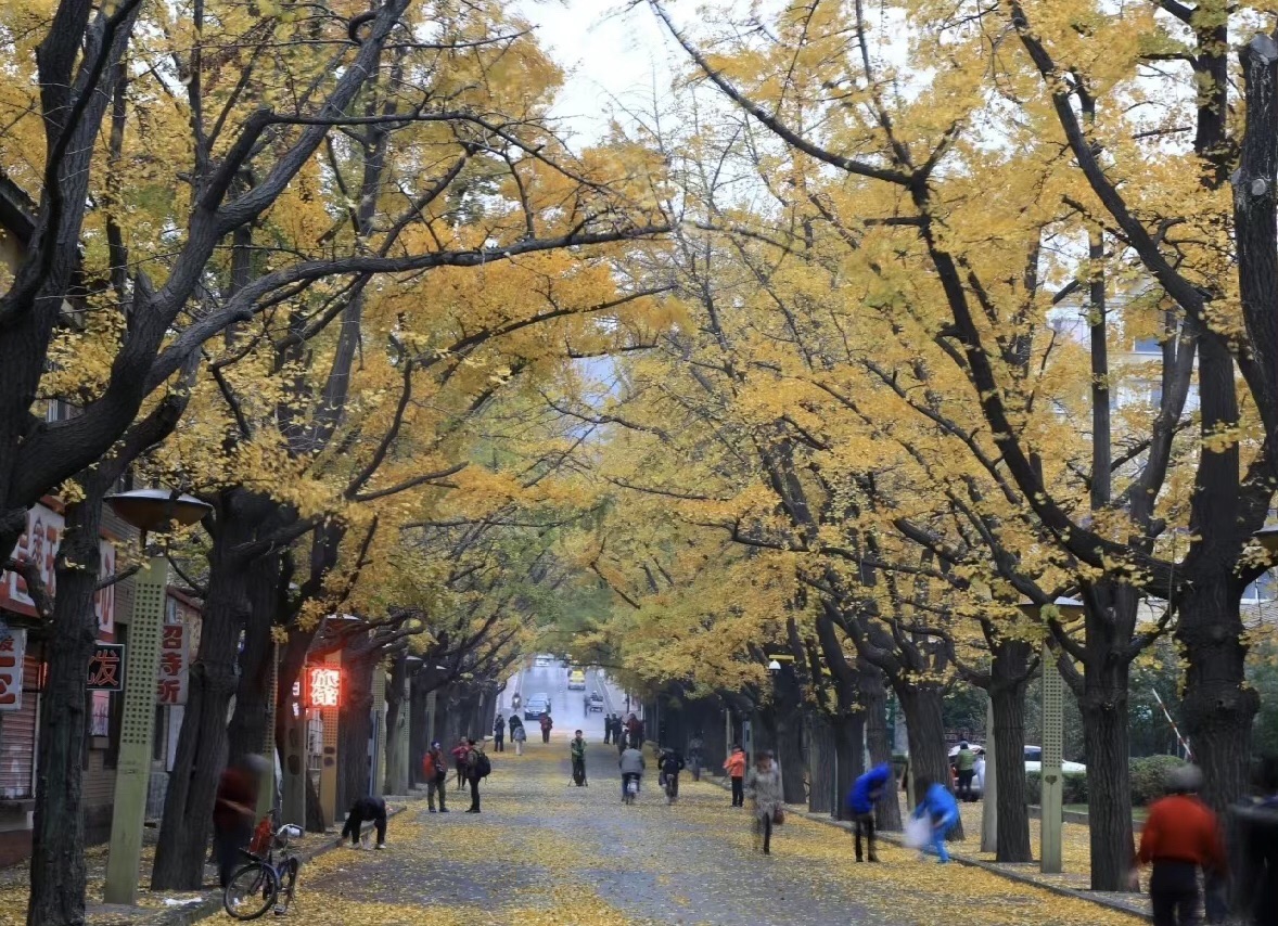帽盔山公园旅行图片 3