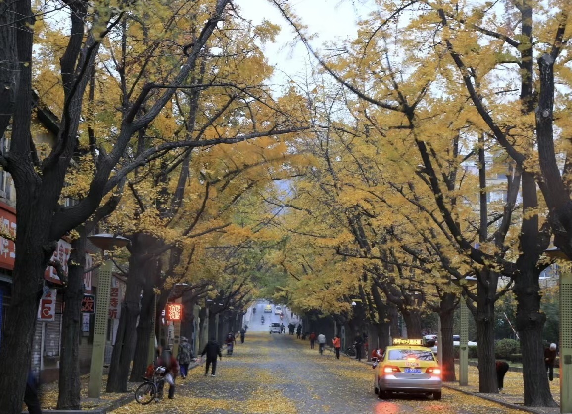 帽盔山公园旅行图片 1