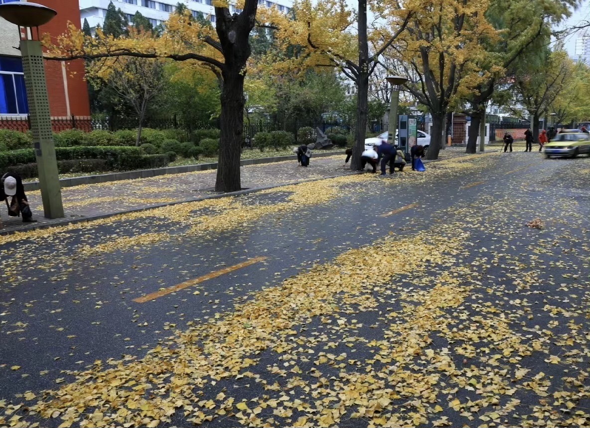 帽盔山公园旅行图片 2