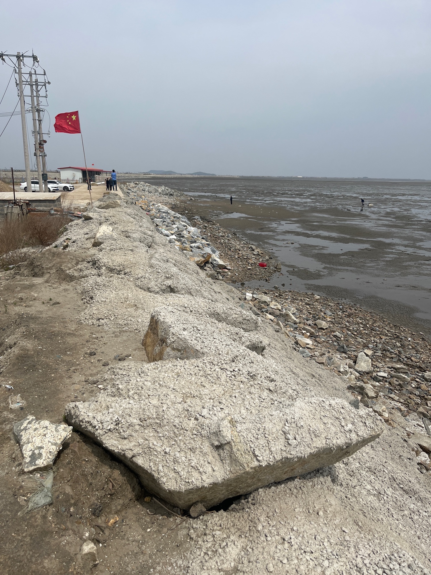 獐鹿倩影旅行图片 2