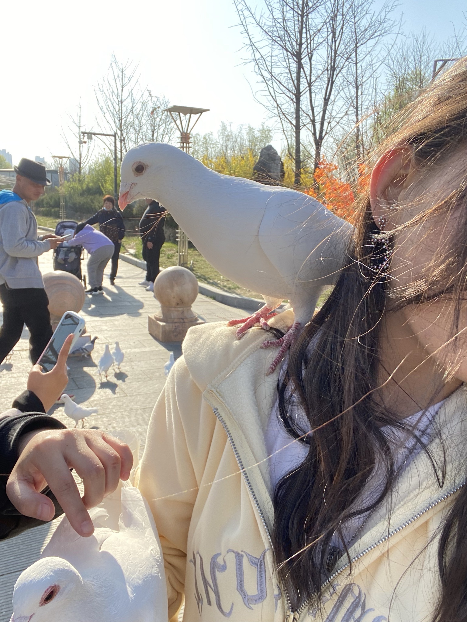 国门湾公园旅行图片 3