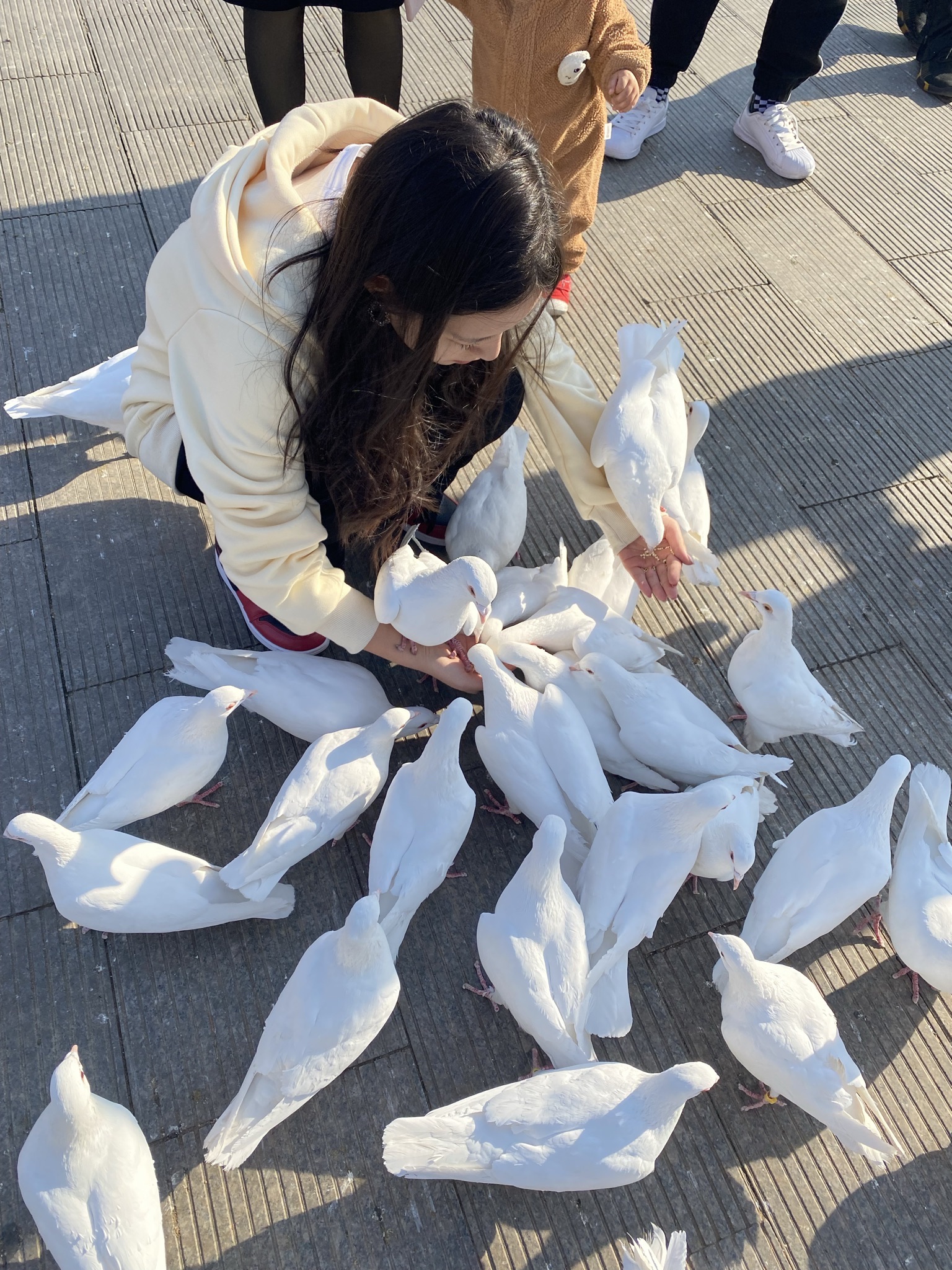 国门湾公园旅行图片 1