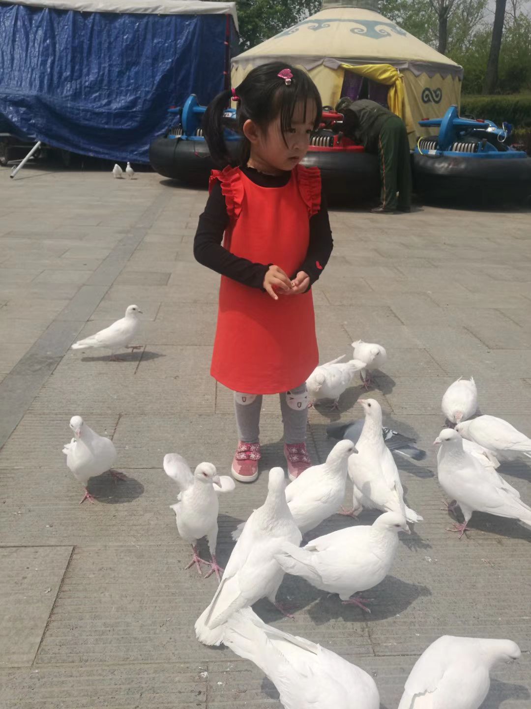 国门湾公园旅行图片 3