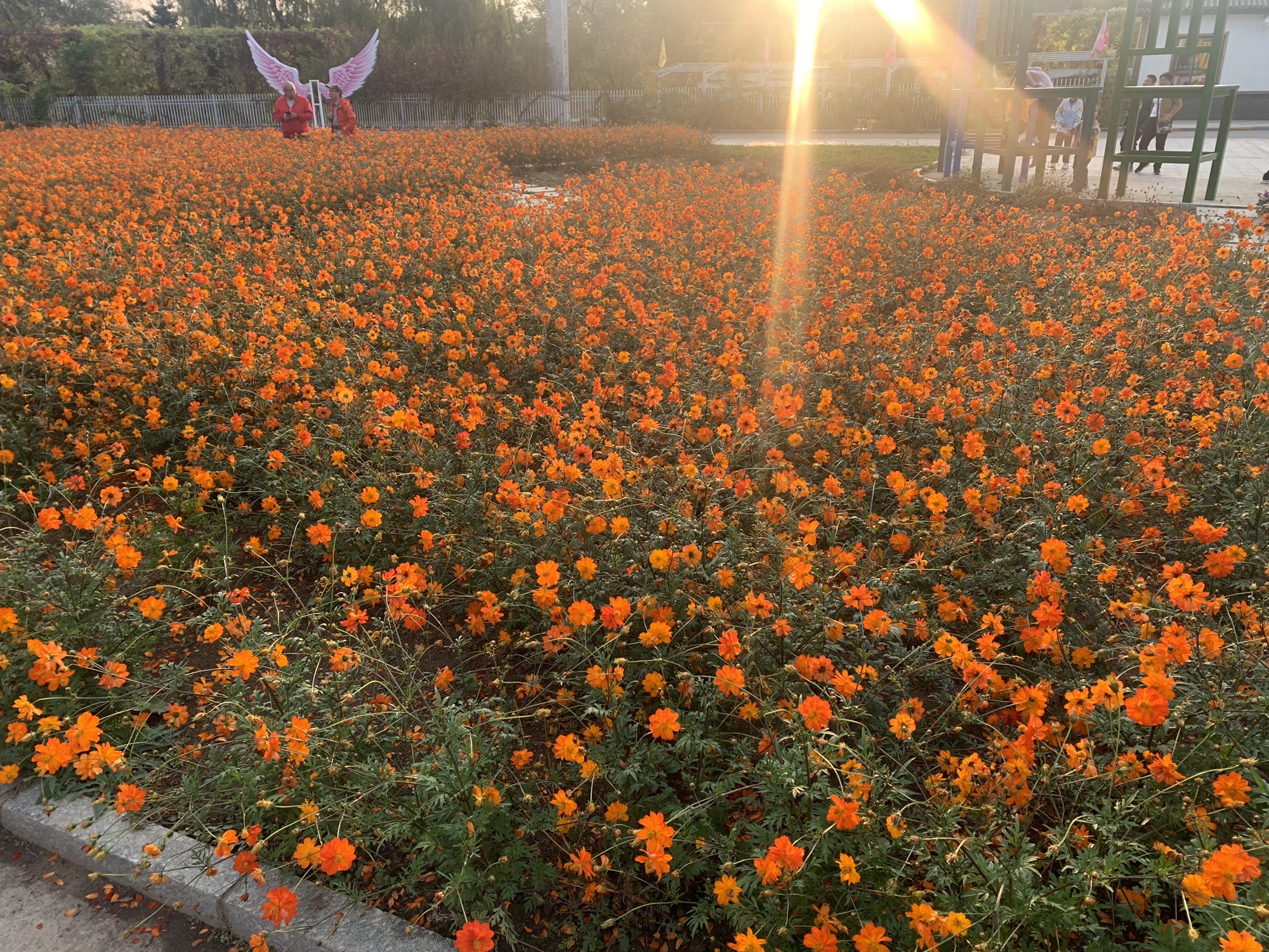 大梨树生态旅游区旅行图片 1