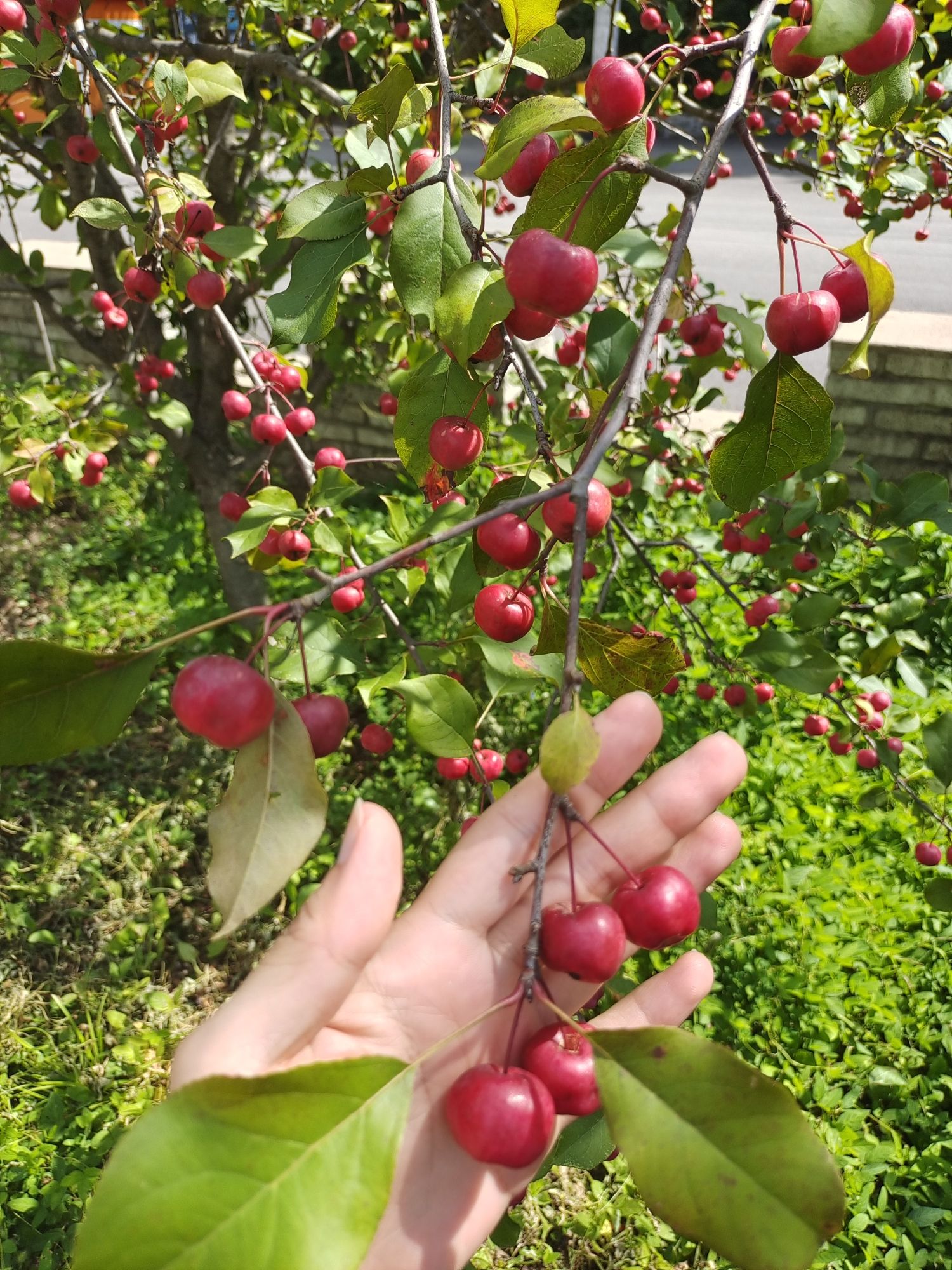 蒲石河森林公园旅行图片 1