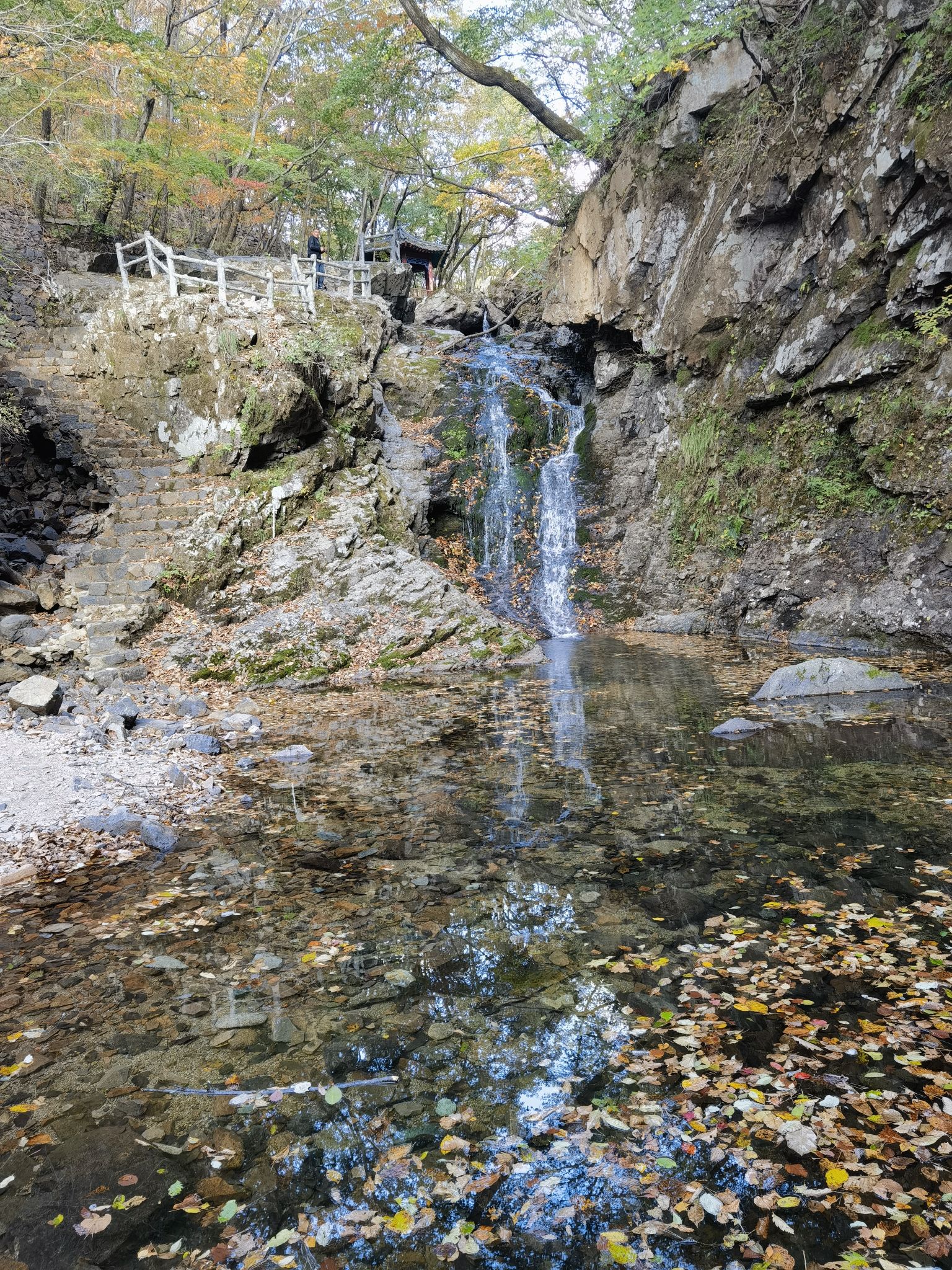 蒲石河森林公园旅行图片 2