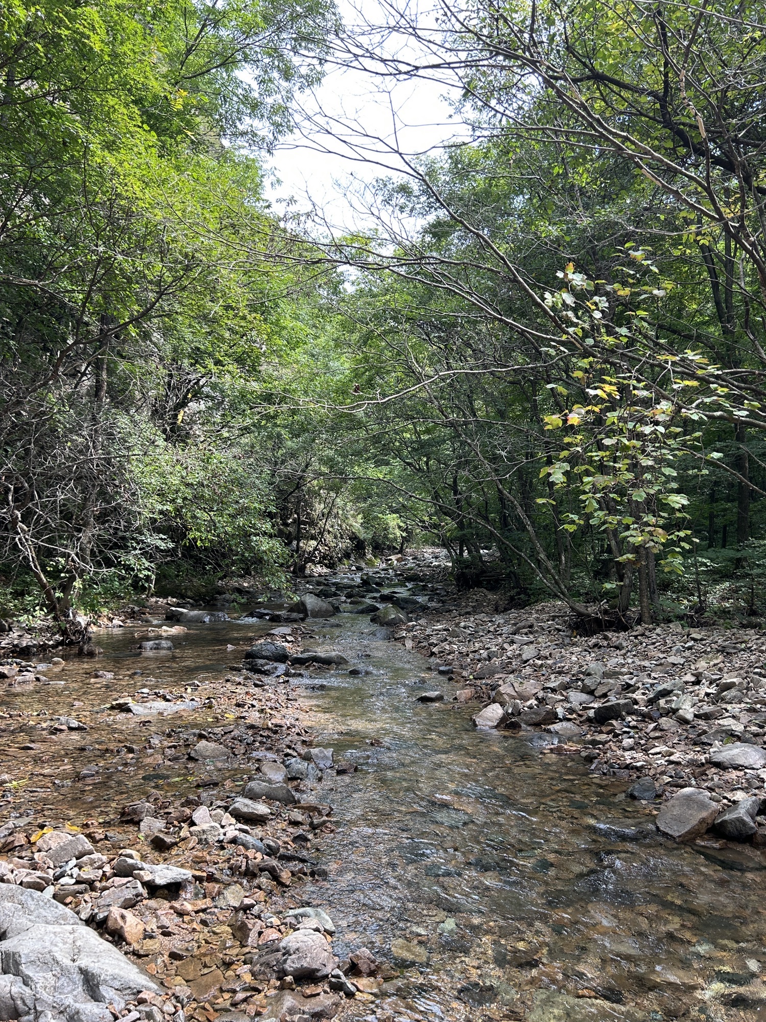 蒲石河森林公园旅行图片 3