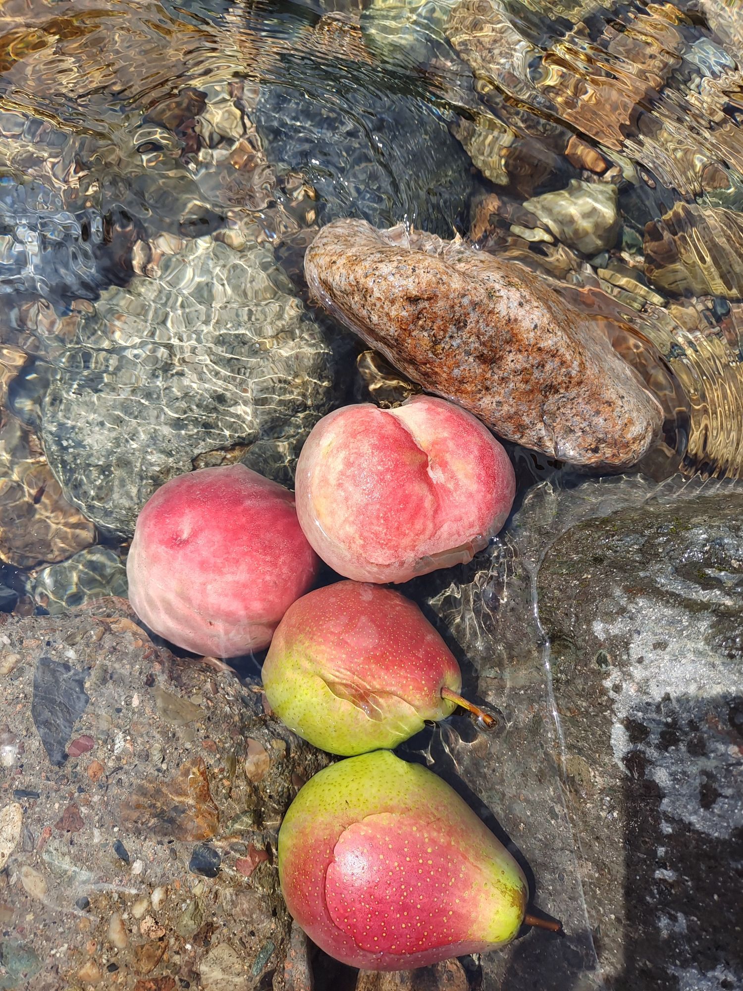 蒲石河森林公园旅行图片 2