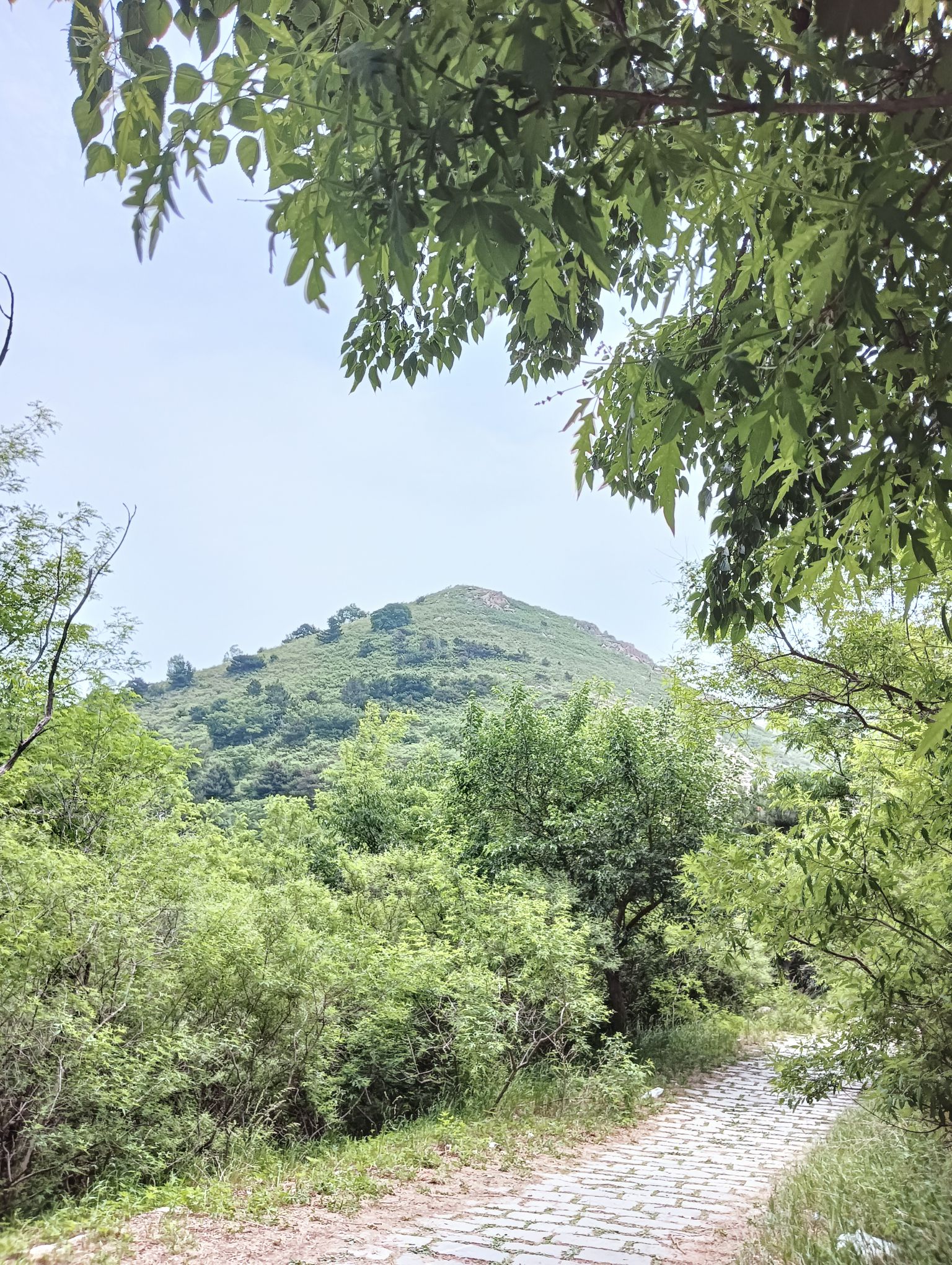 蛇盘山旅游区旅行图片 2