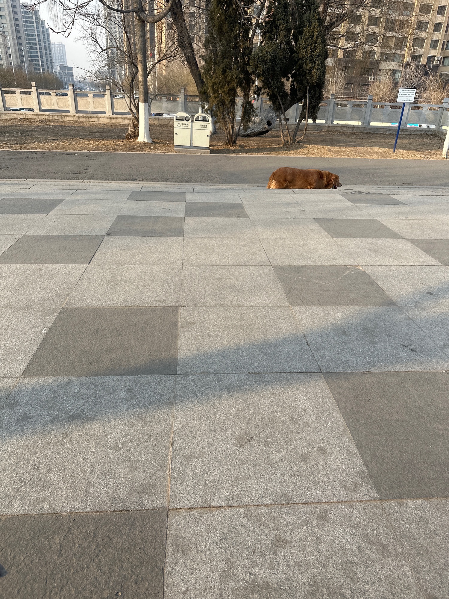 凌河公园旅行图片 3