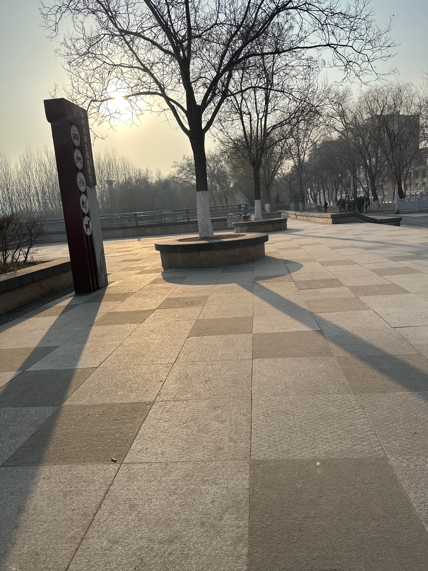凌河公园旅行图片 2