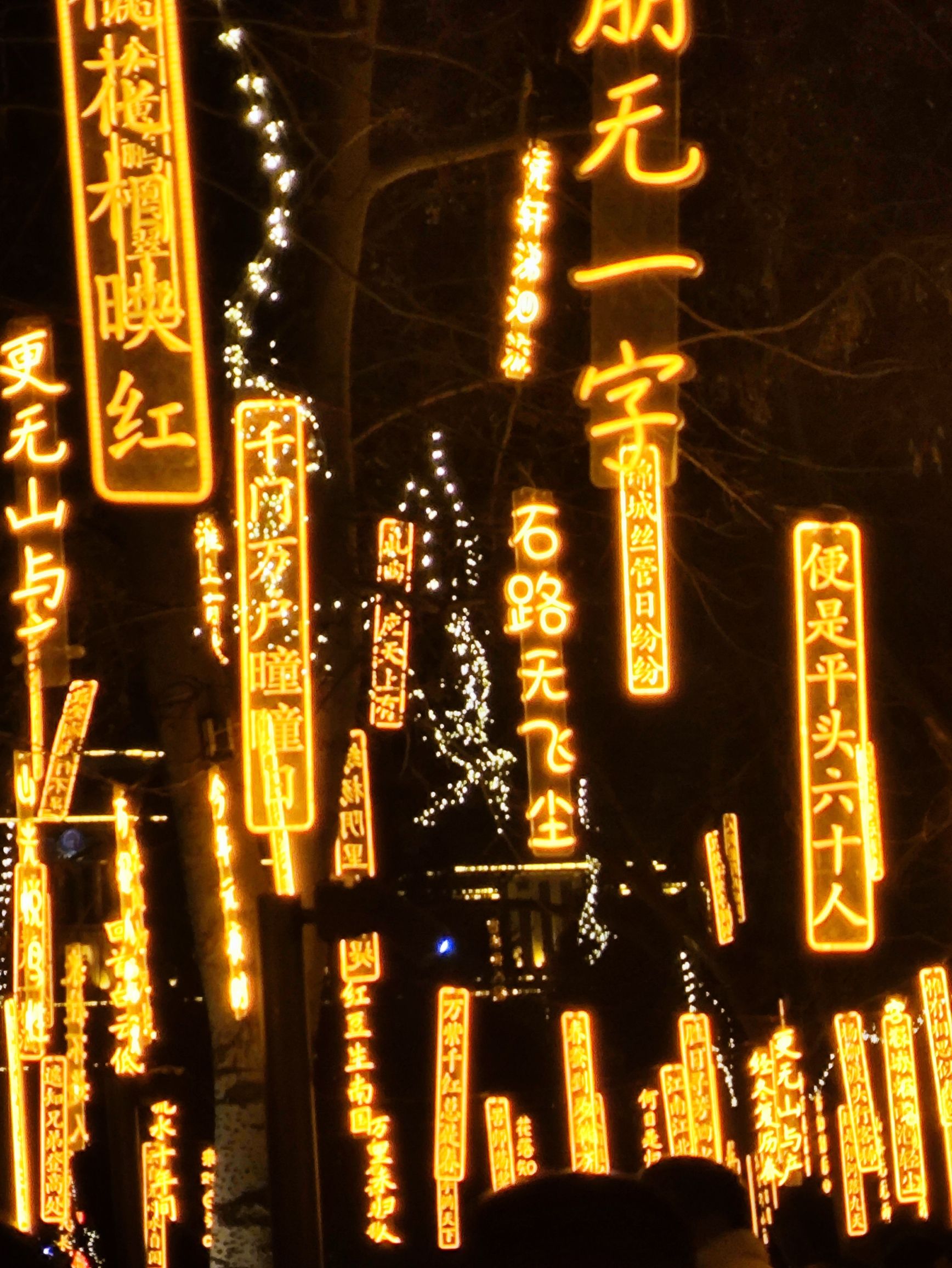 锦州古塔历史文化公园旅行图片 2