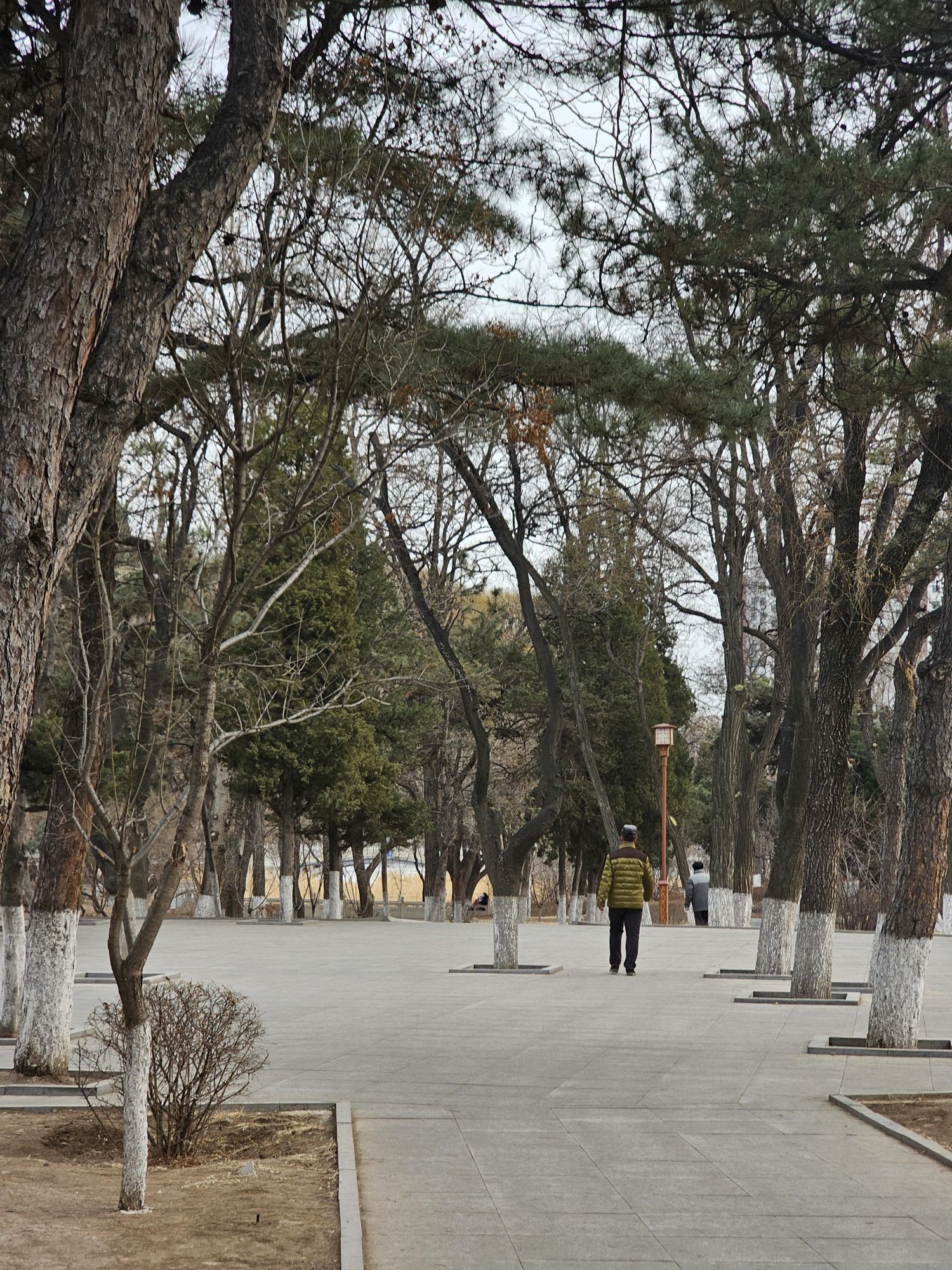 锦州动物园旅行图片 1