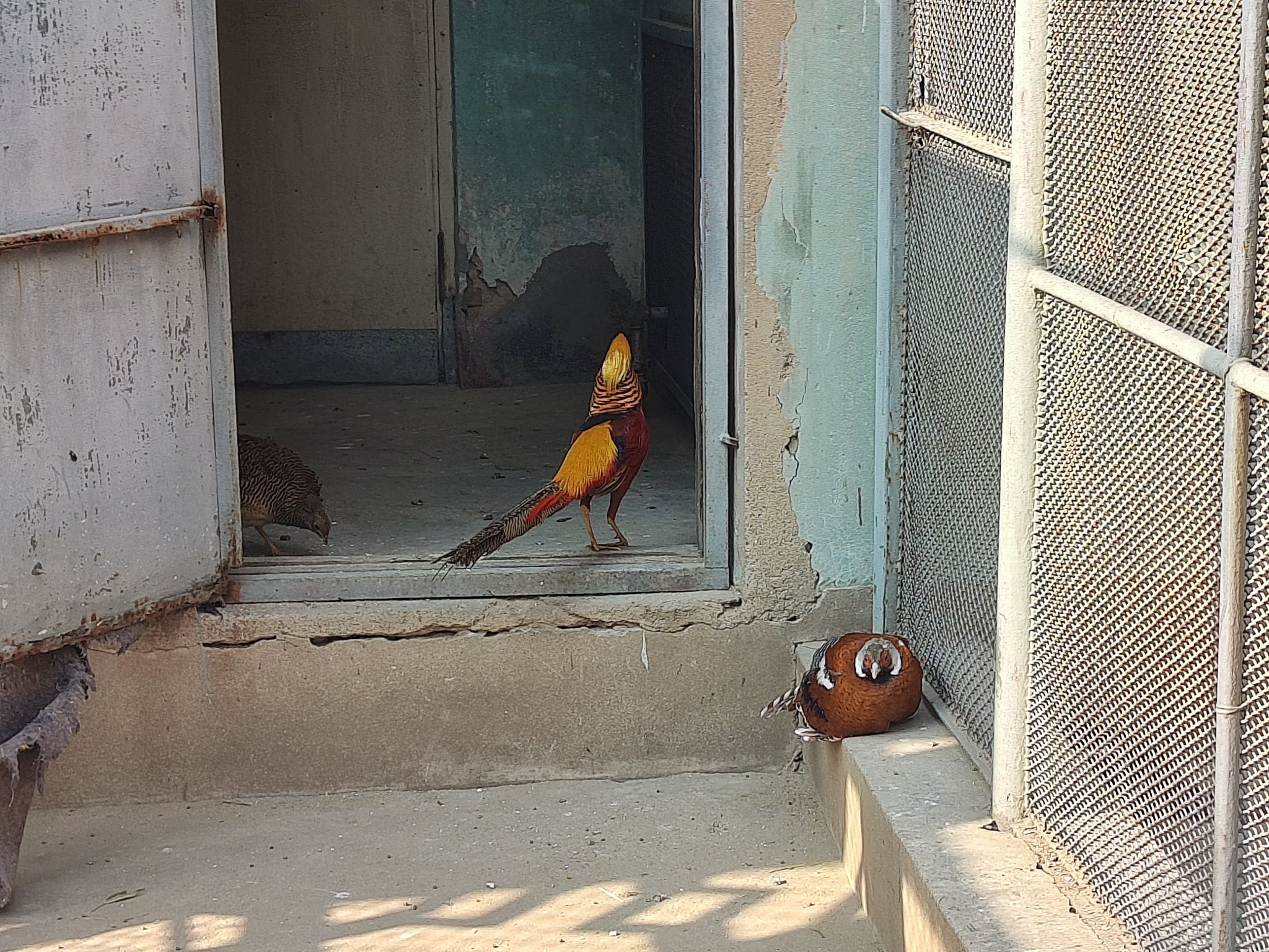 锦州动物园旅行图片 3