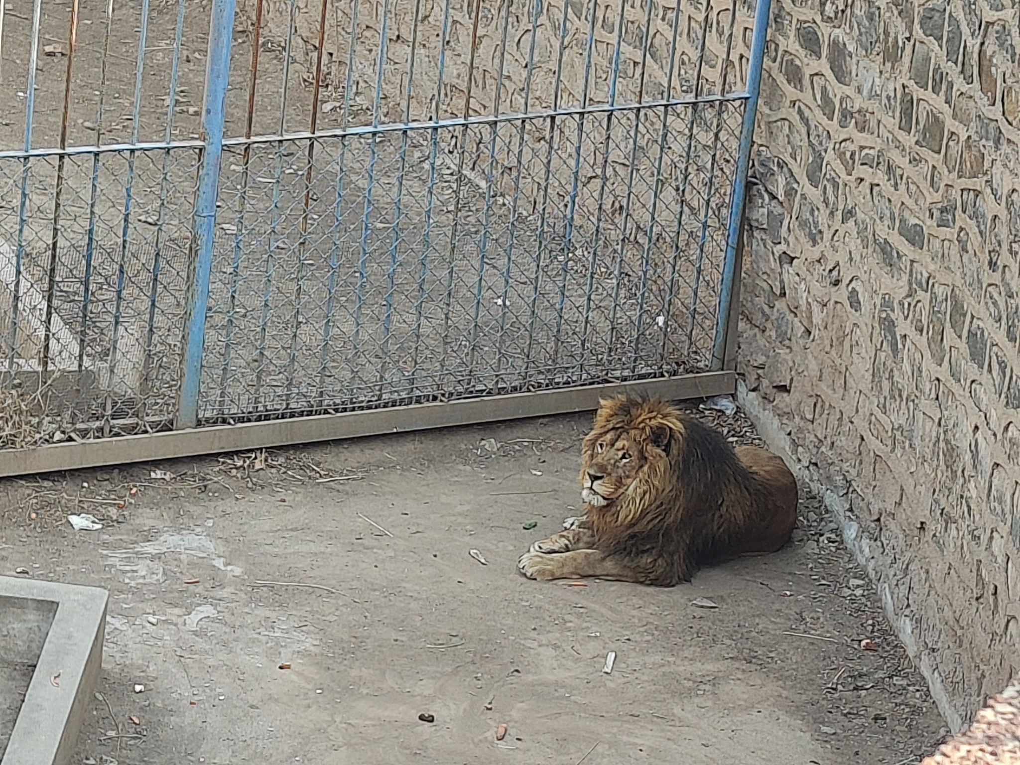 锦州动物园旅行图片 2