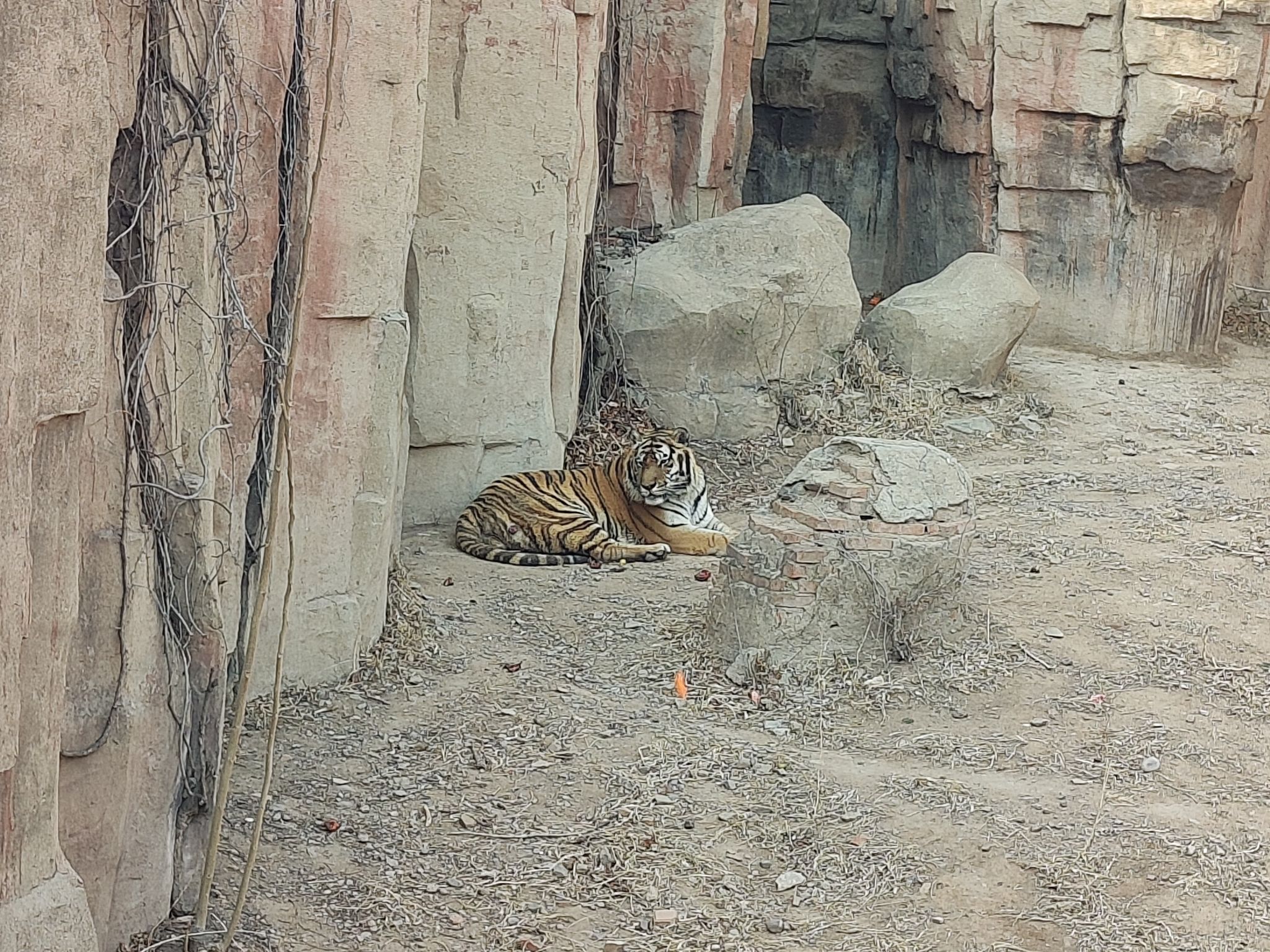 锦州动物园旅行图片 1