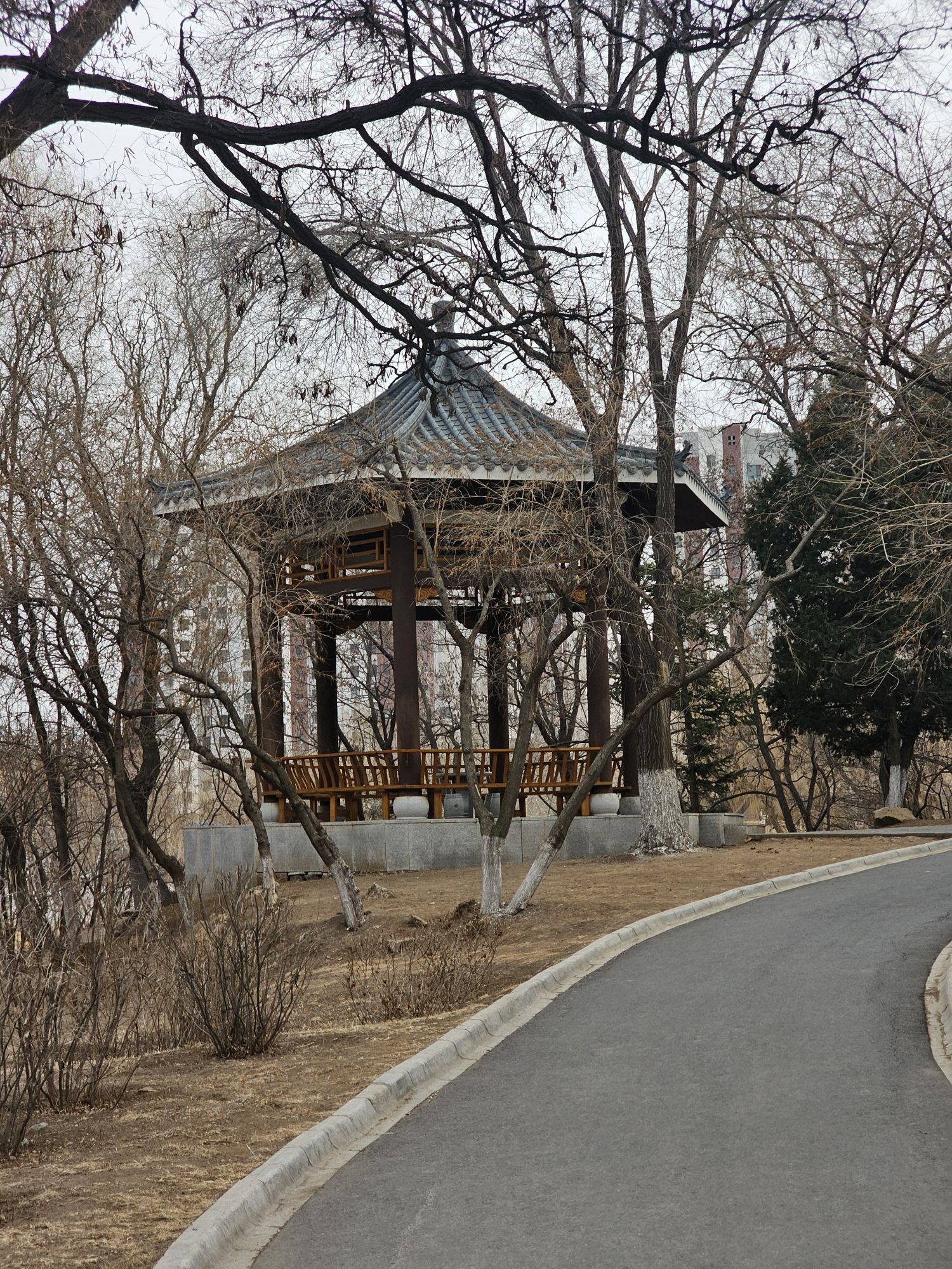 锦州动物园旅行图片 3