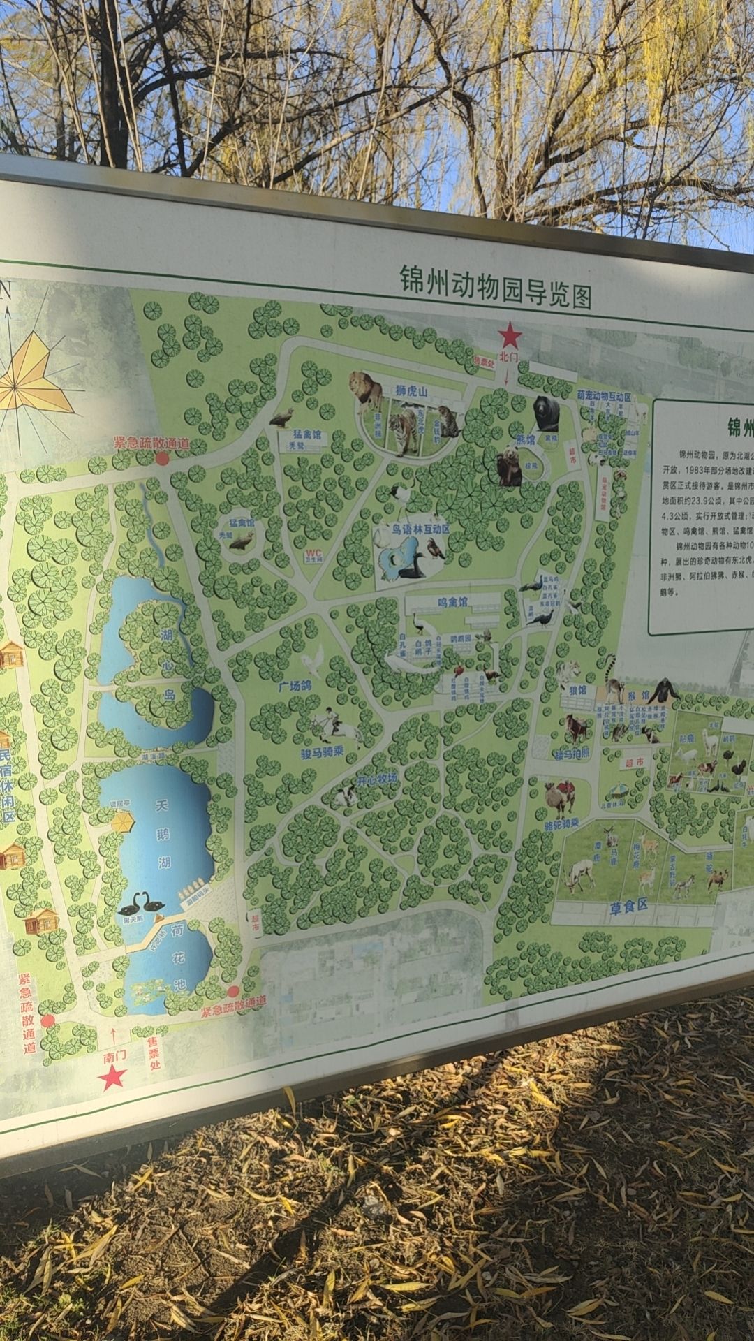 锦州动物园旅行图片 3