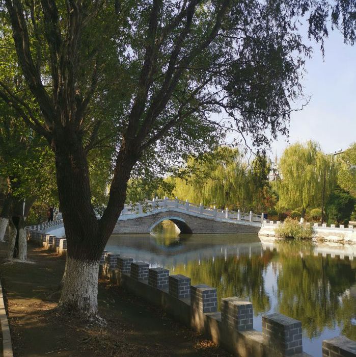 萧军公园旅行图片 1