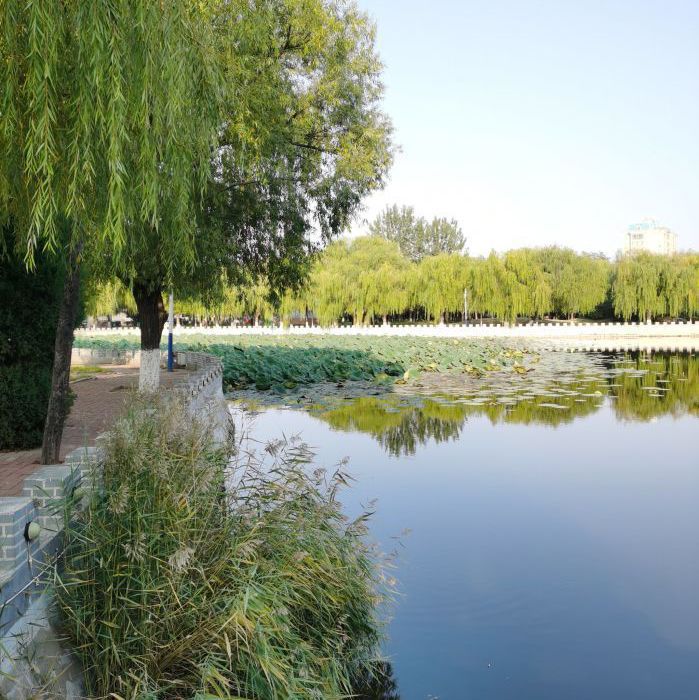 萧军公园旅行图片 3
