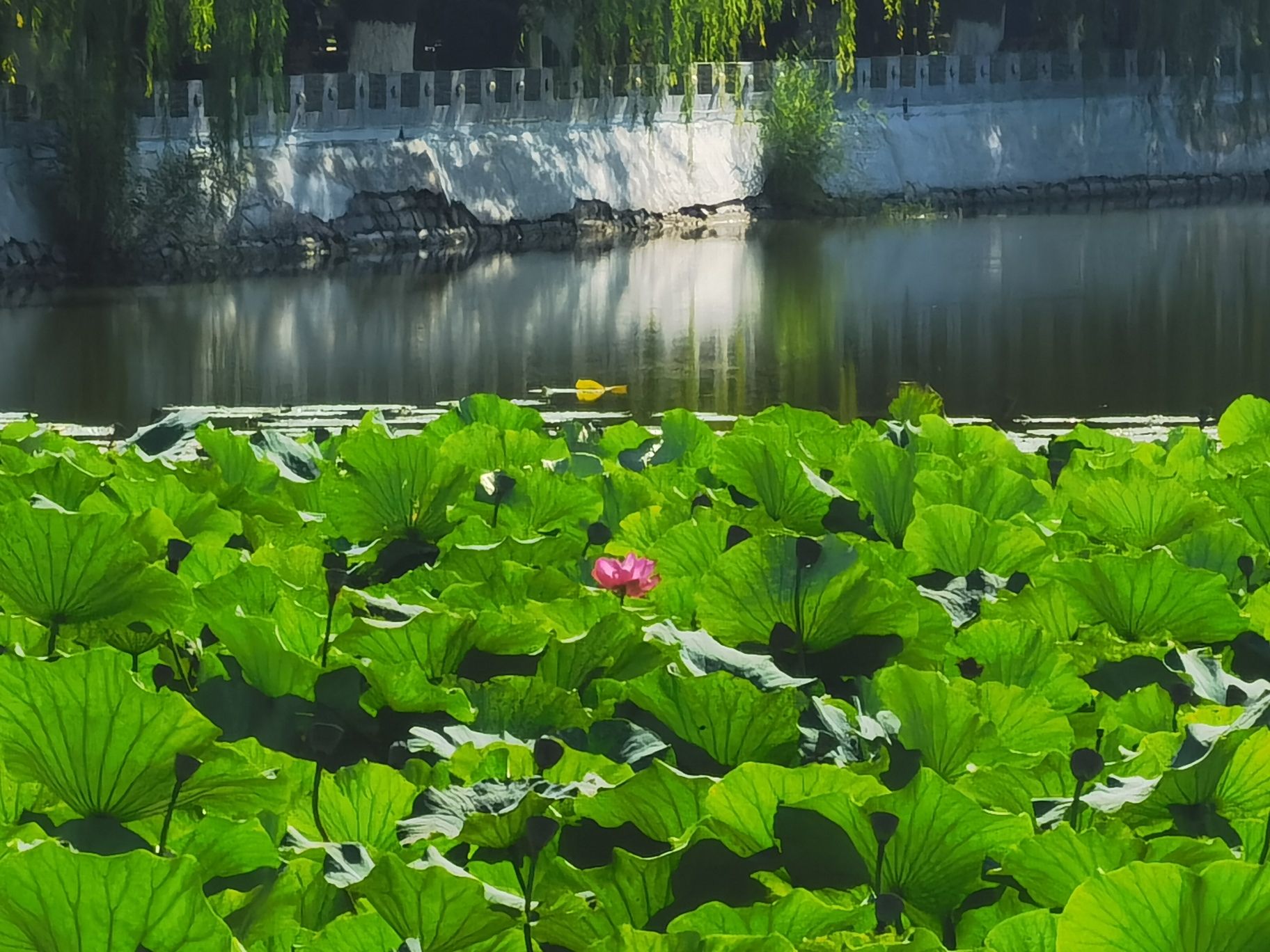 萧军公园
