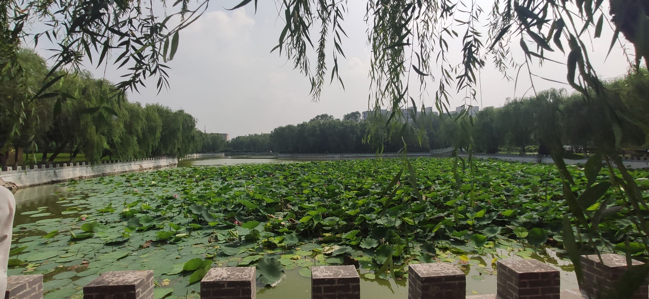 萧军公园旅行图片 1