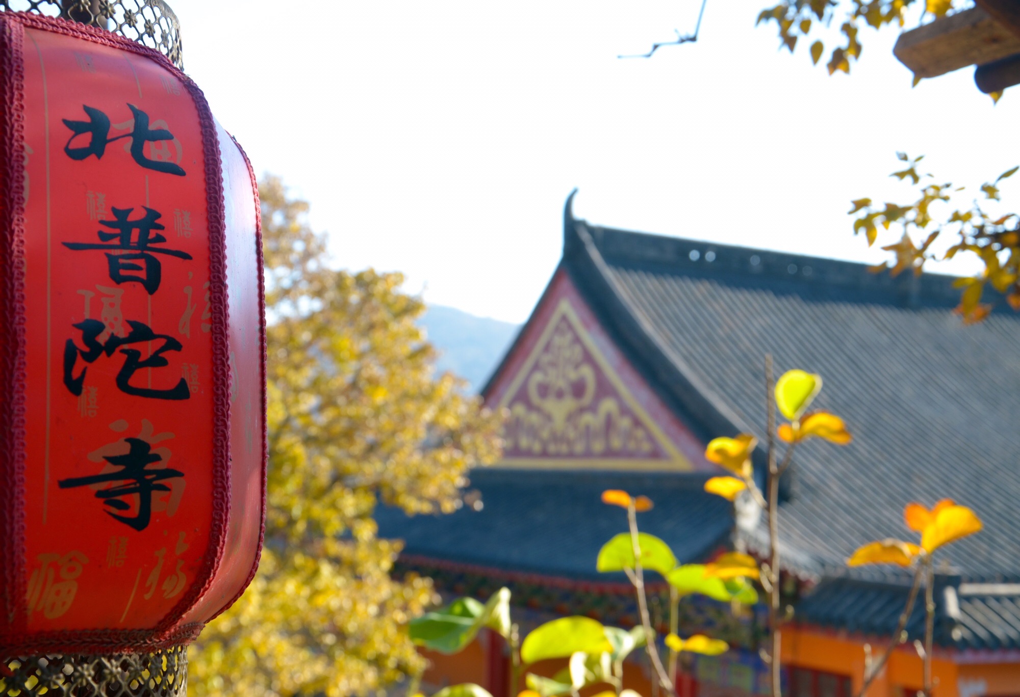 锦州北普陀山风景名胜区旅行图片 1