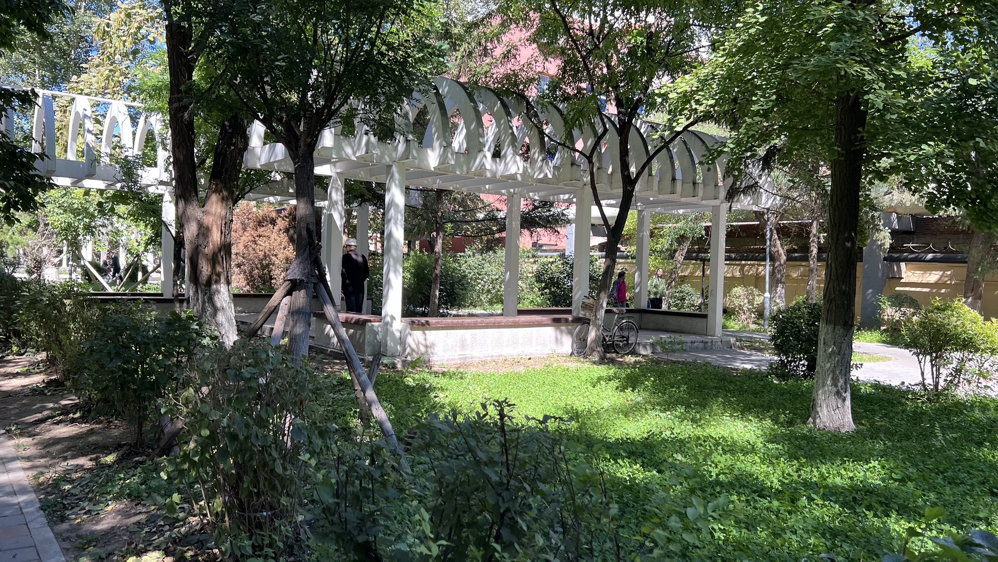 八一公园旅行图片 3