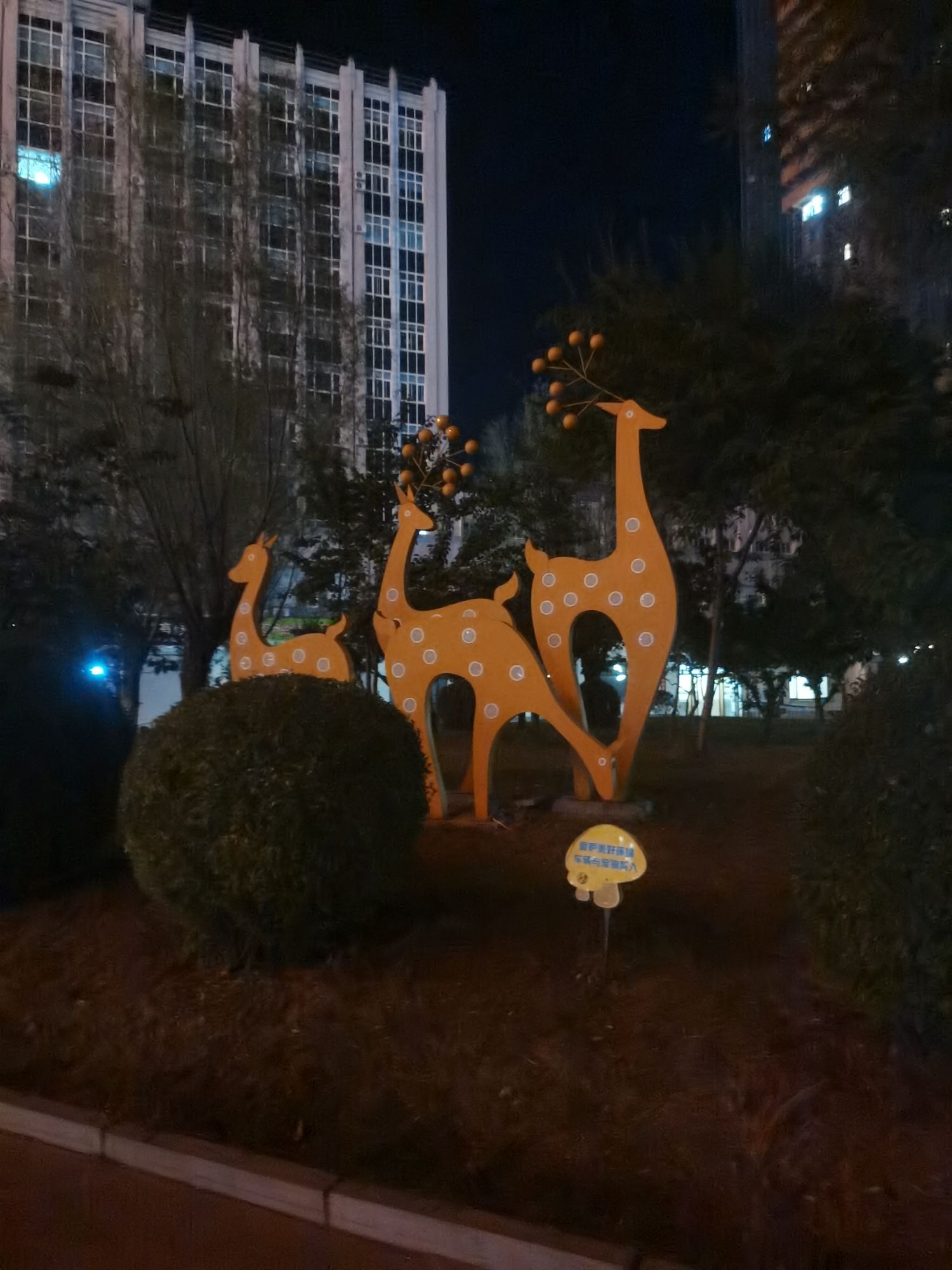 明珠广场旅行图片 3