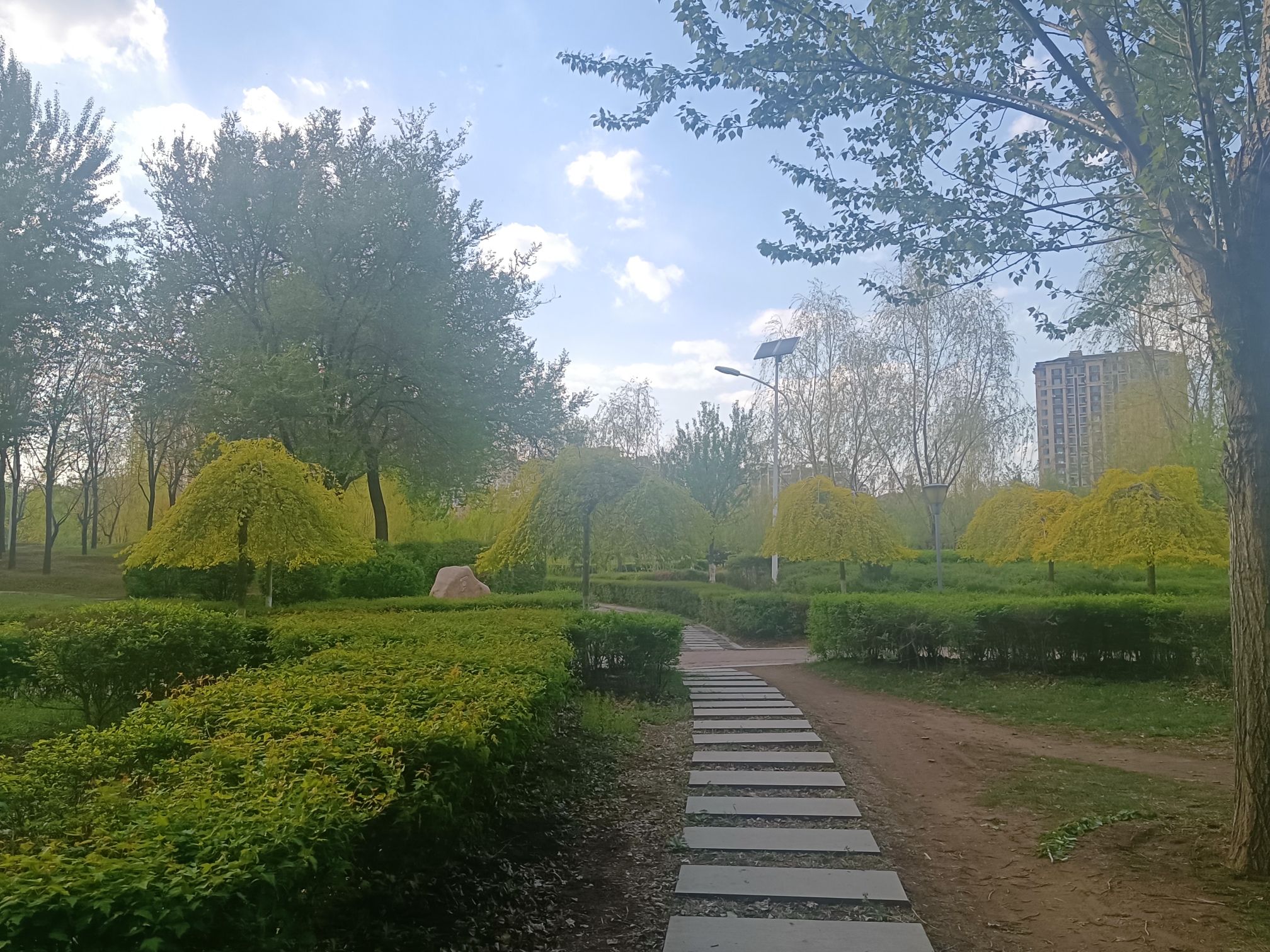 东湖公园旅行图片 1