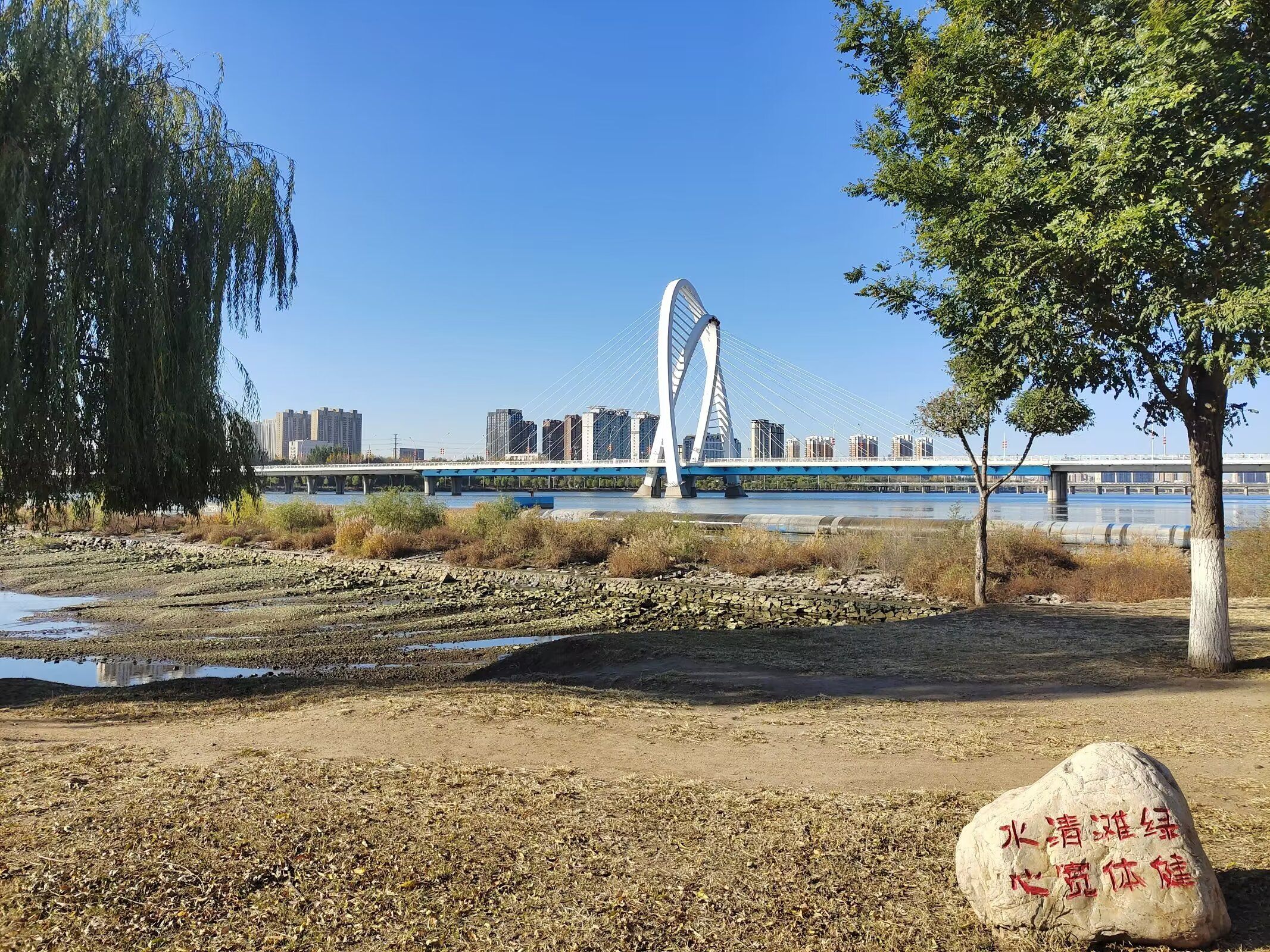 东湖公园旅行图片 3