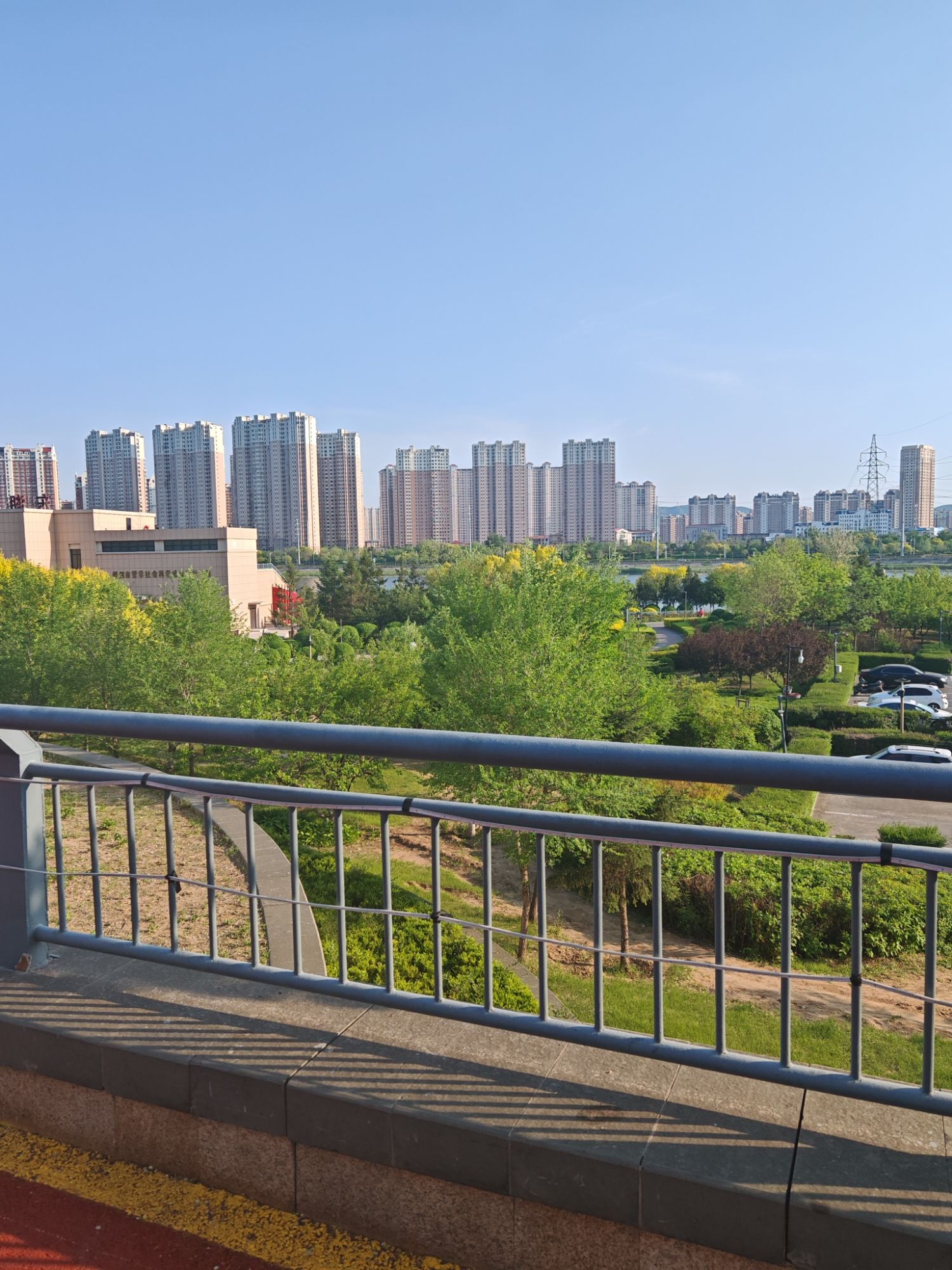 东湖公园旅行图片 2