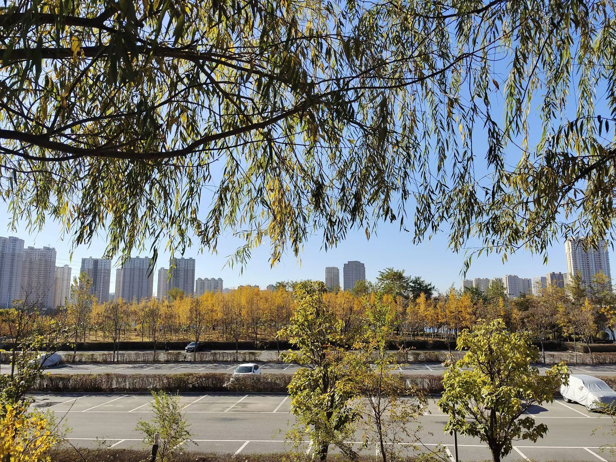 东湖公园旅行图片 2