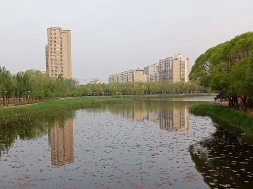 南湖公园旅行图片 1