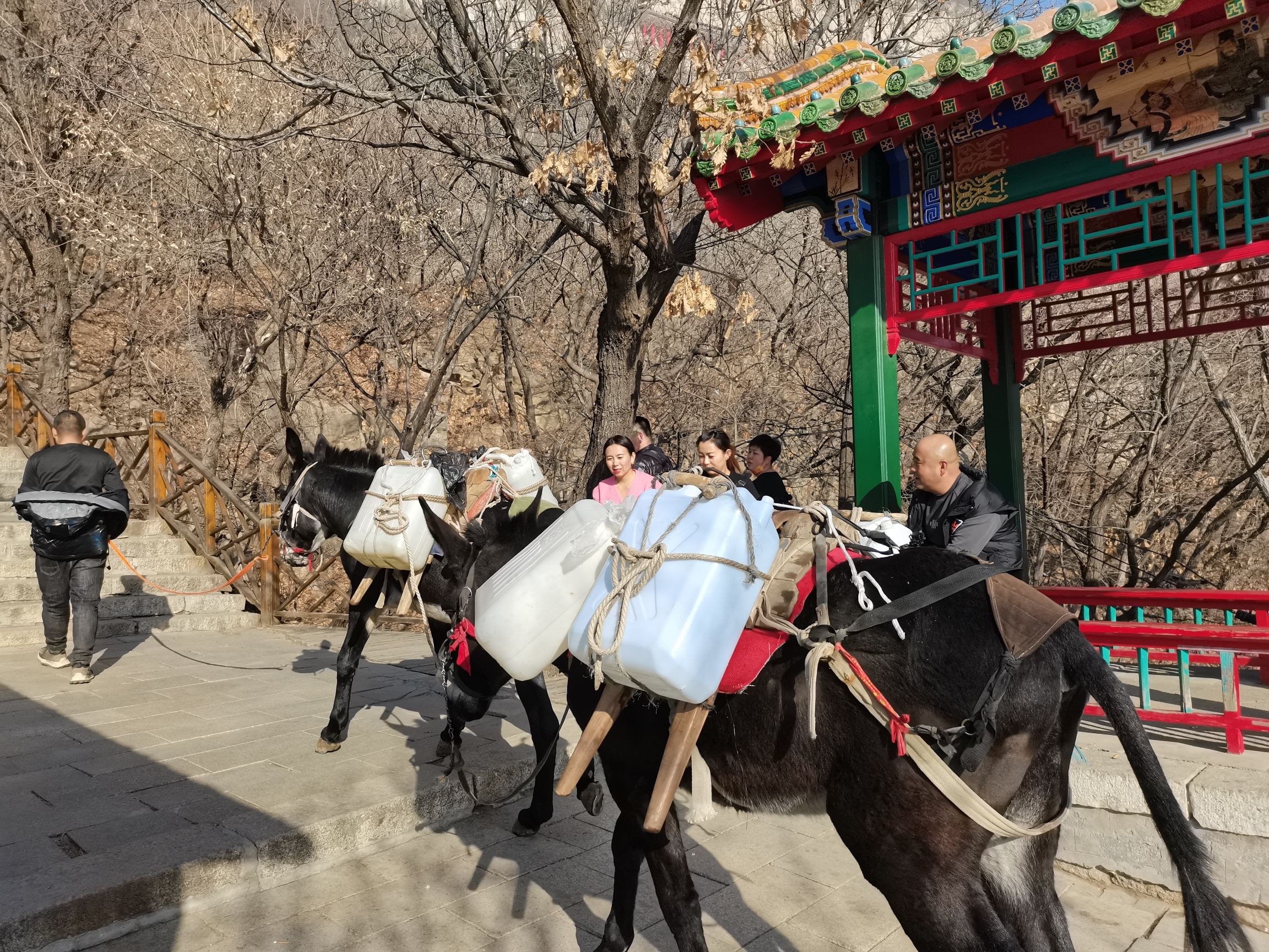 青岩寺风景区旅行图片 3