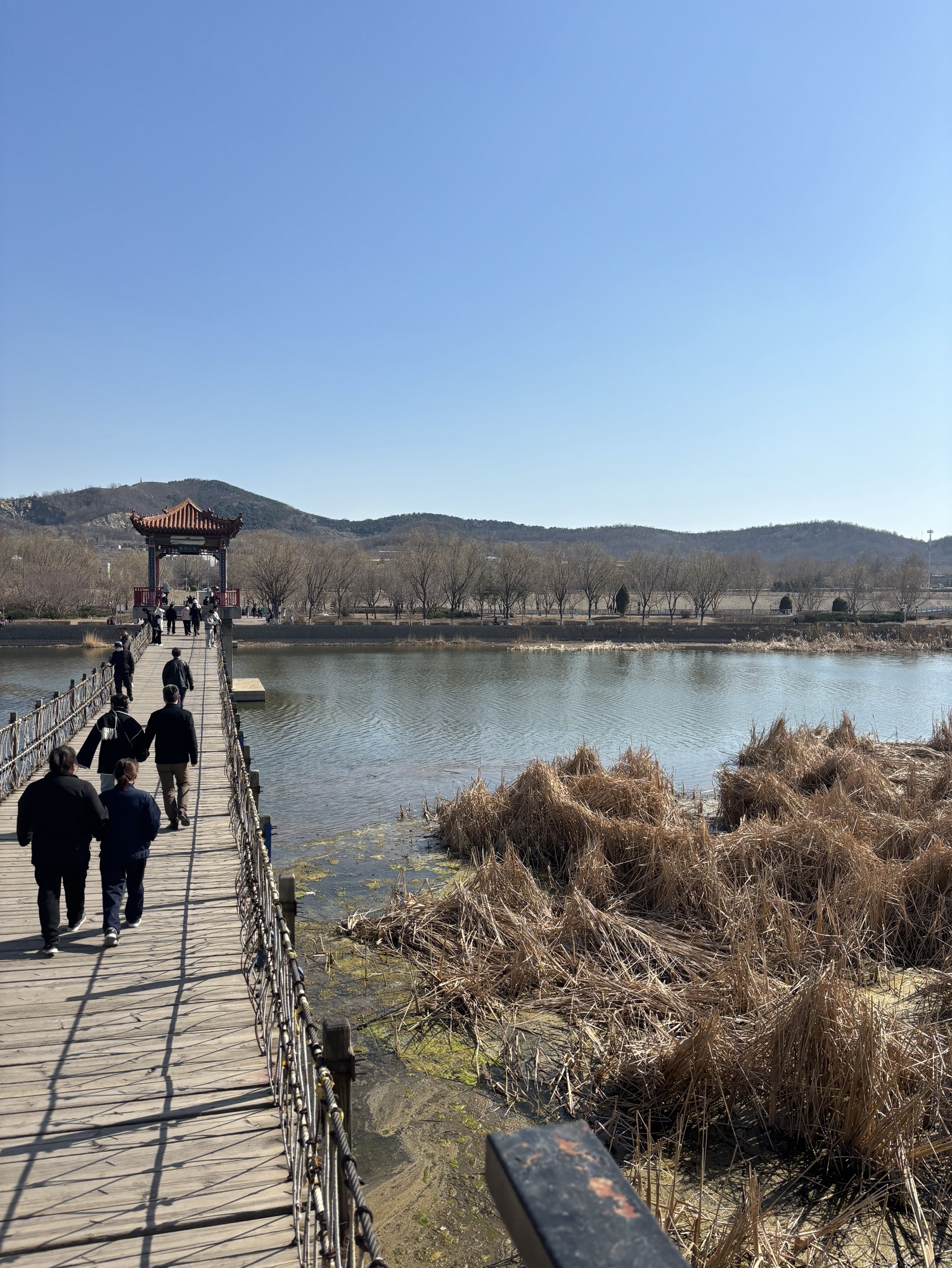 女儿河公园旅行图片 2