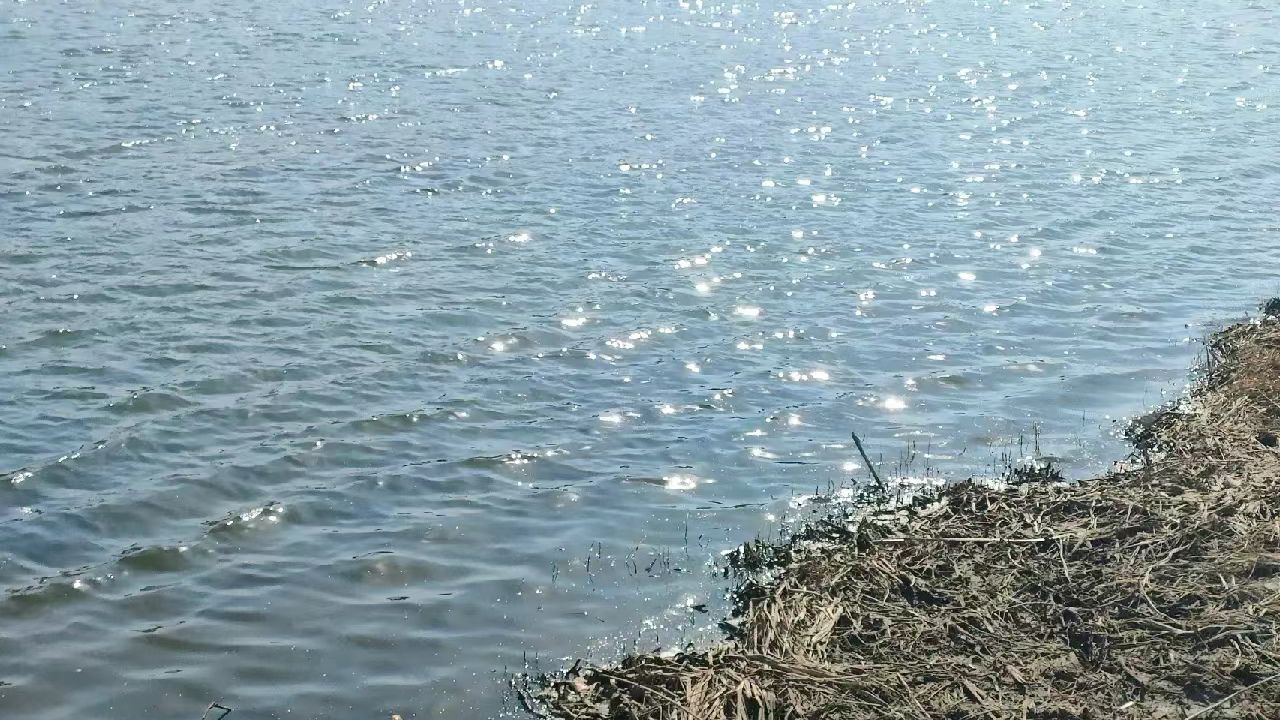 女儿河公园旅行图片 3