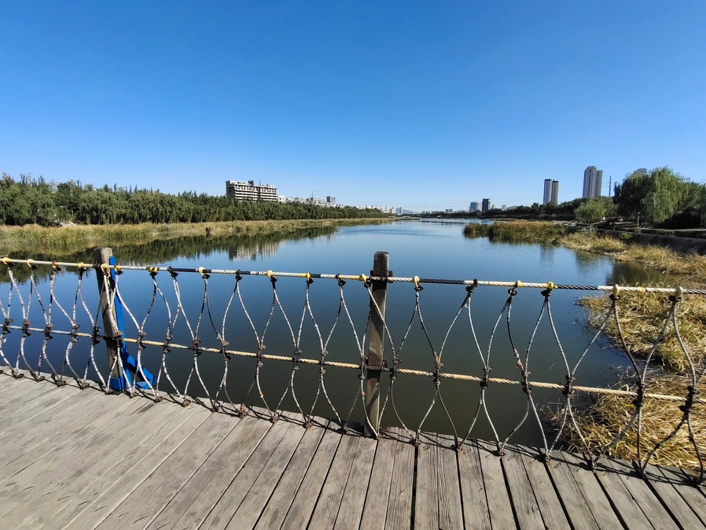 女儿河公园旅行图片 2