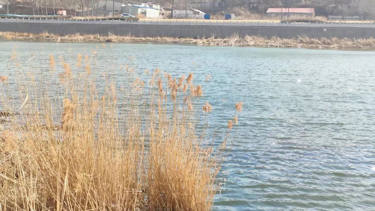女儿河公园旅行图片 1