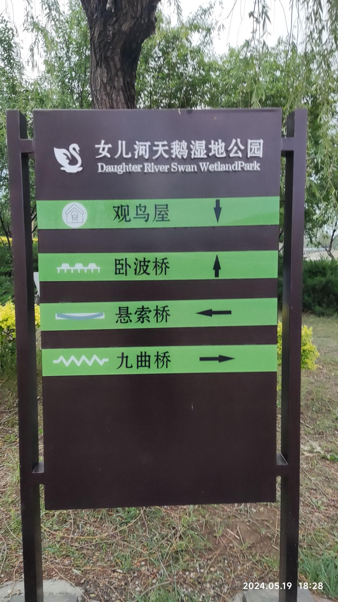 女儿河公园旅行图片 3