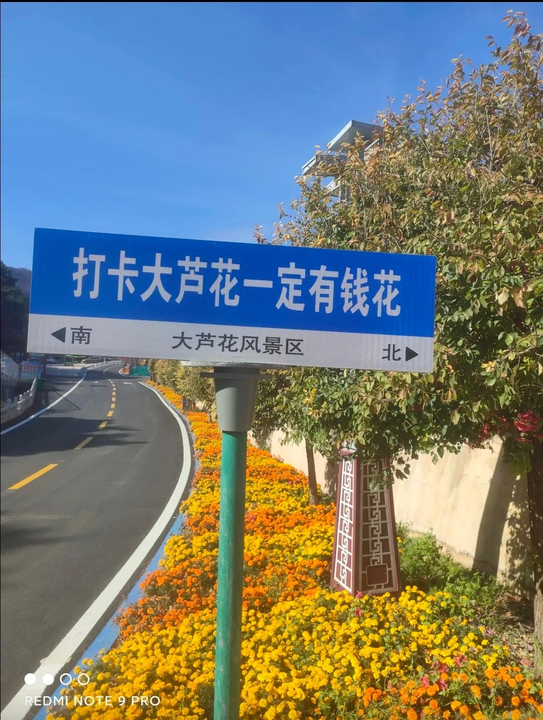 大芦花云岩寺风景区