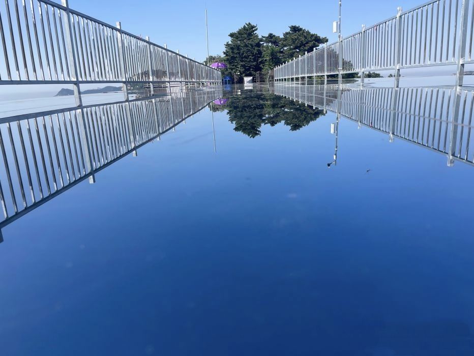 大芦花景区旅行图片 3