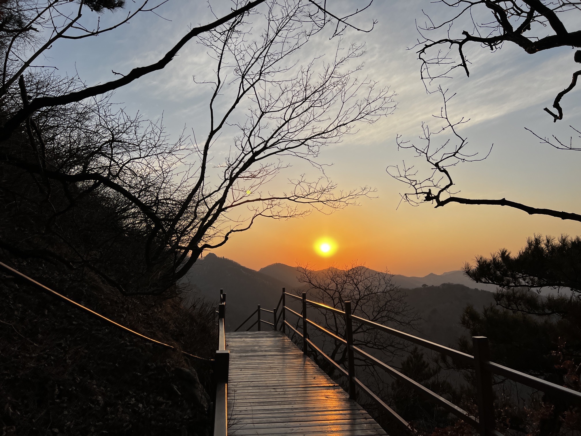 大芦花景区旅行图片 1