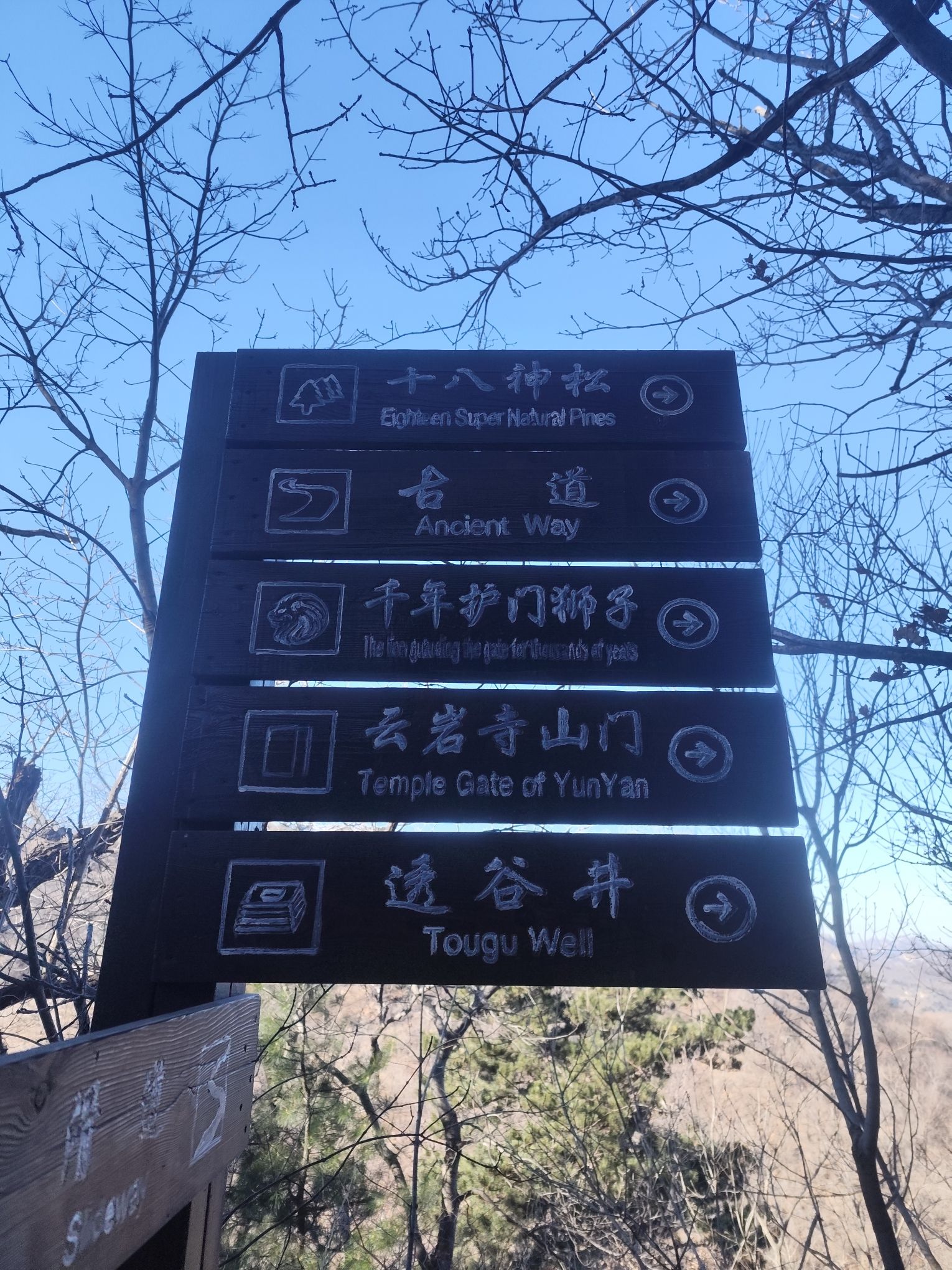 大芦花景区旅行图片 2