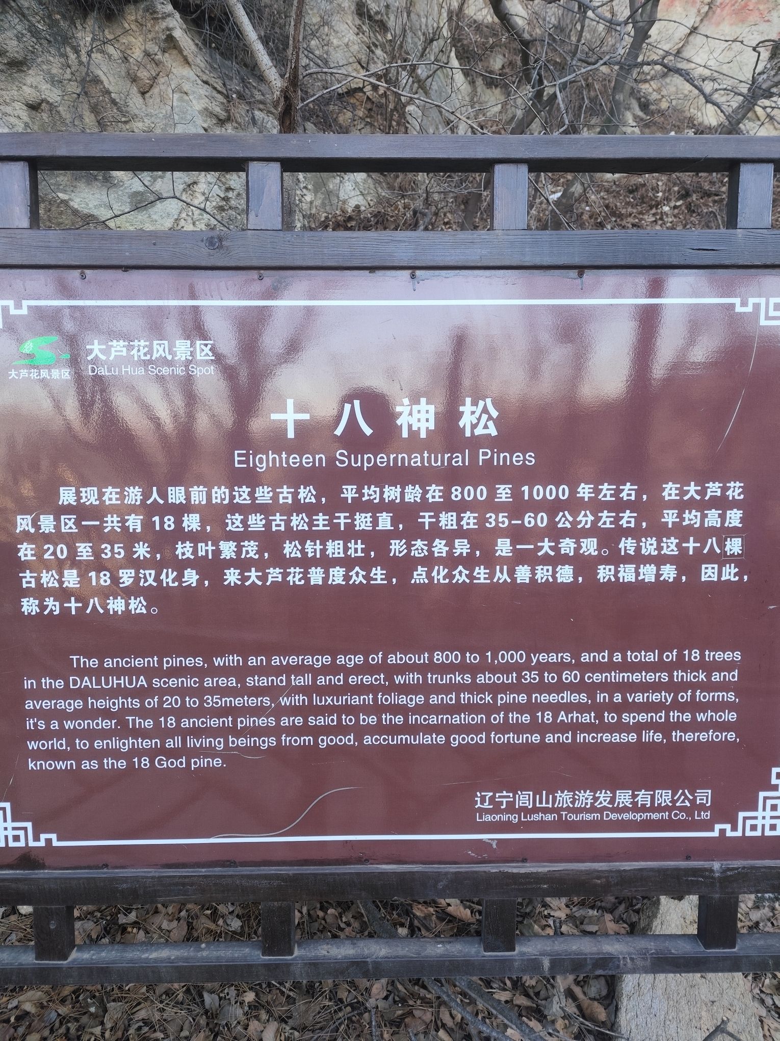 大芦花景区旅行图片 3