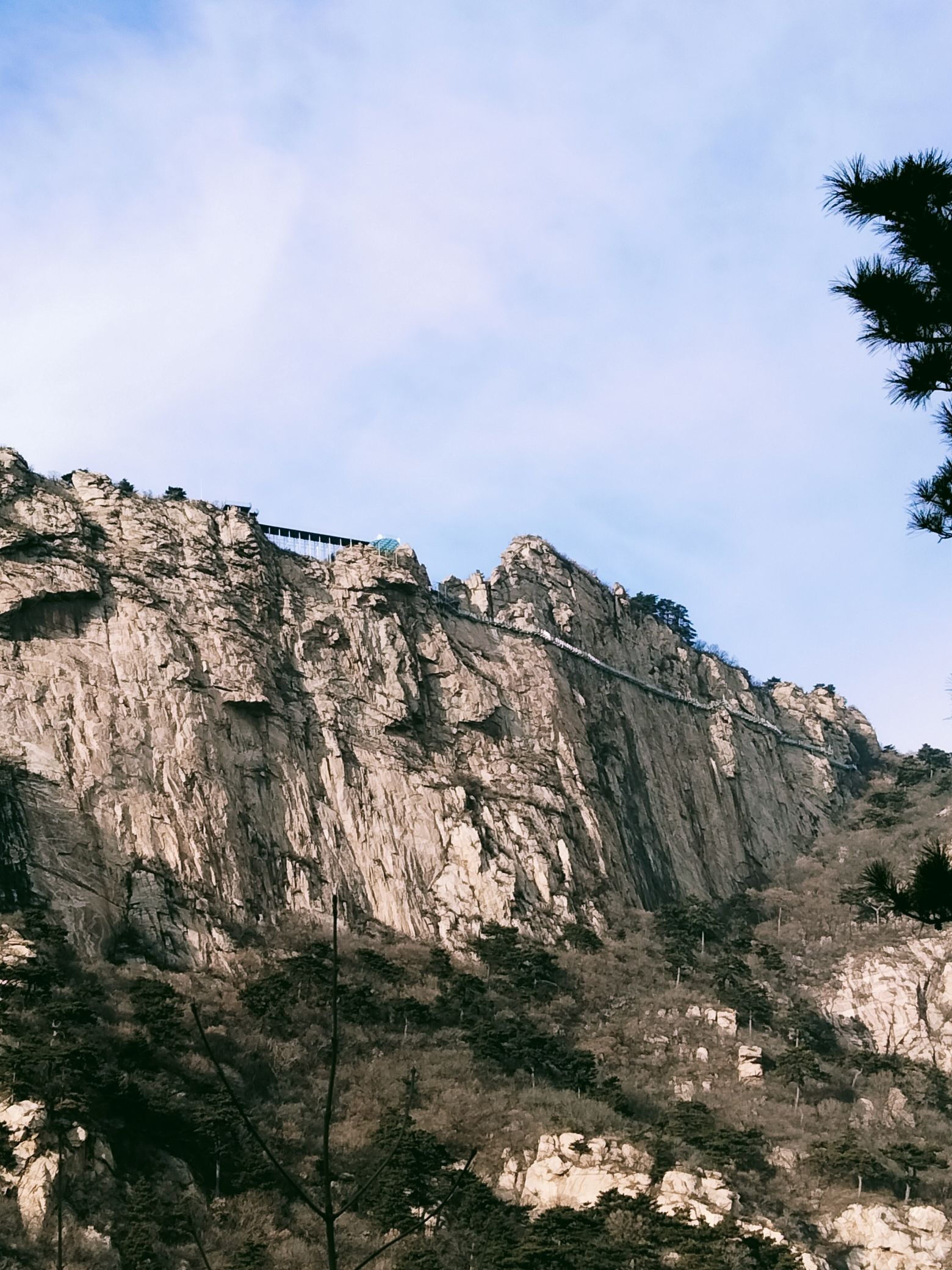 大芦花景区旅行图片 1