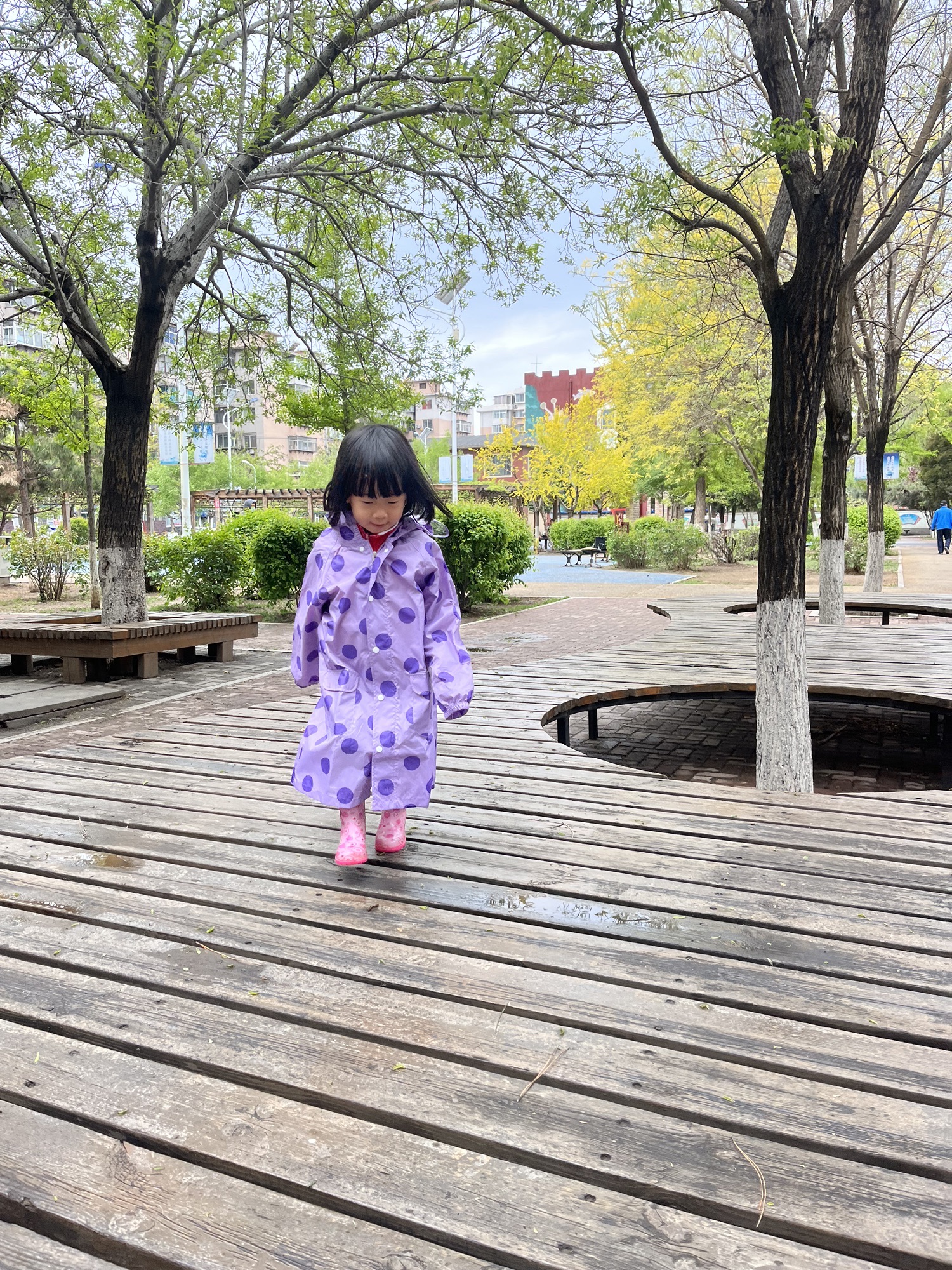 安和里公园旅行图片 1