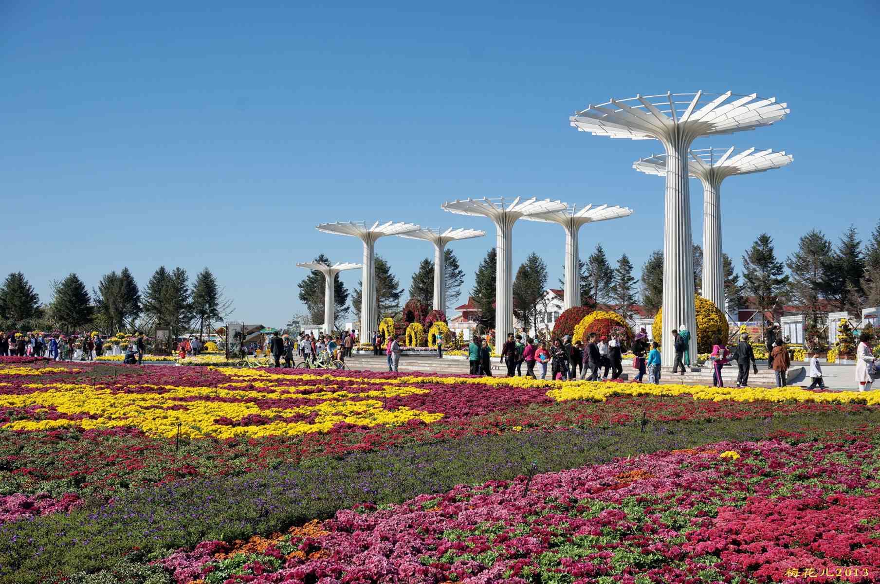 锦州世博园旅行图片 3