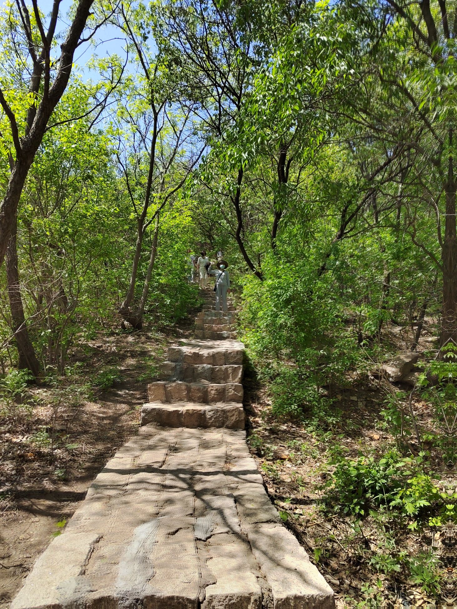 岩井寺风景区旅行图片 3